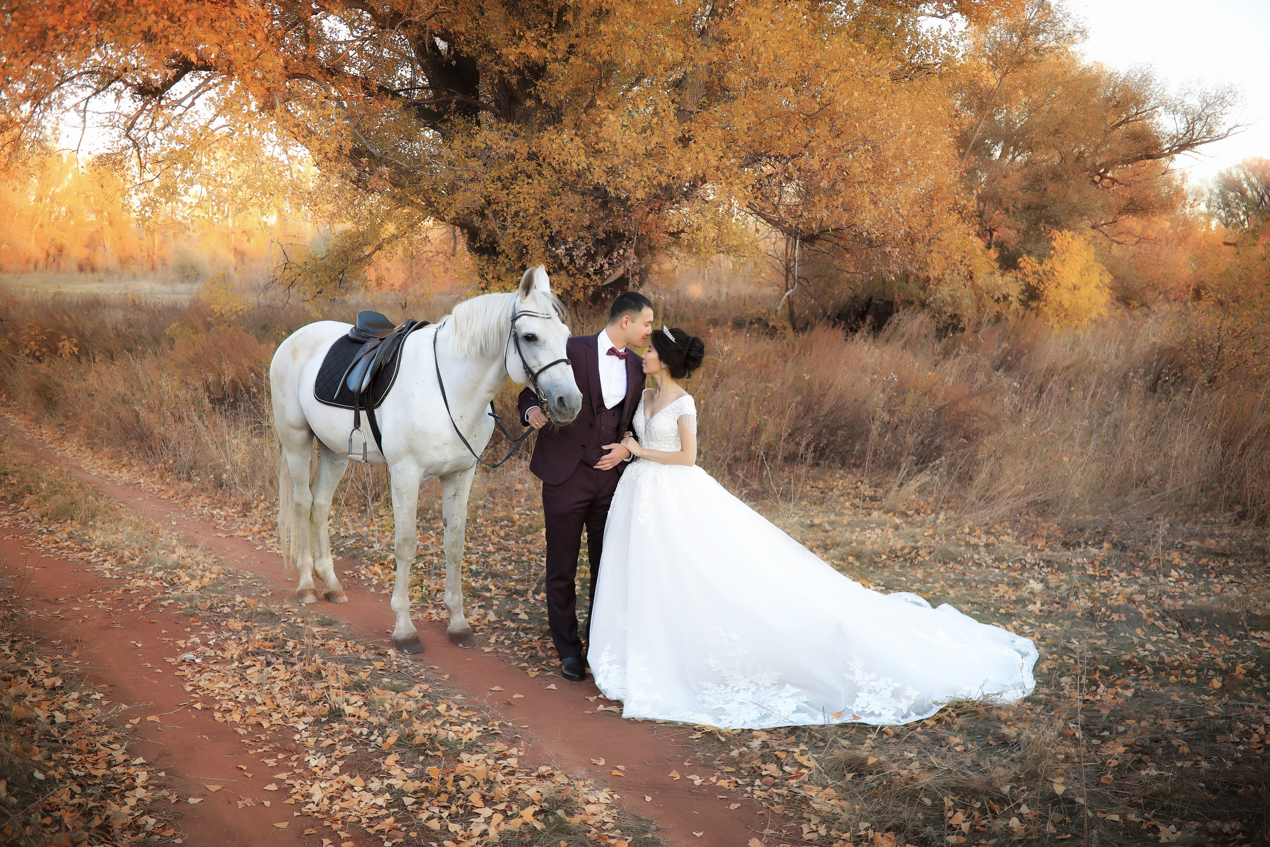 Свадьба. Свадебный и семейный фотограф в Оренбурге Ильяна Тукжанова