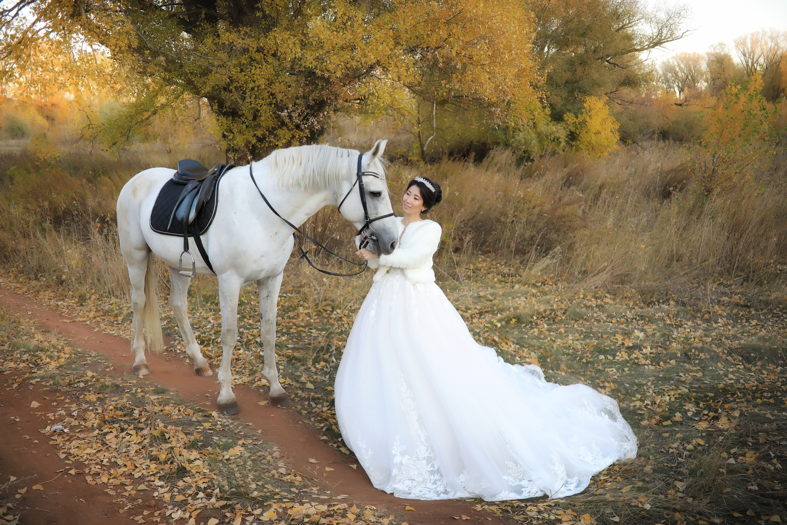 Свадьба. Свадебный и семейный фотограф в Оренбурге Ильяна Тукжанова