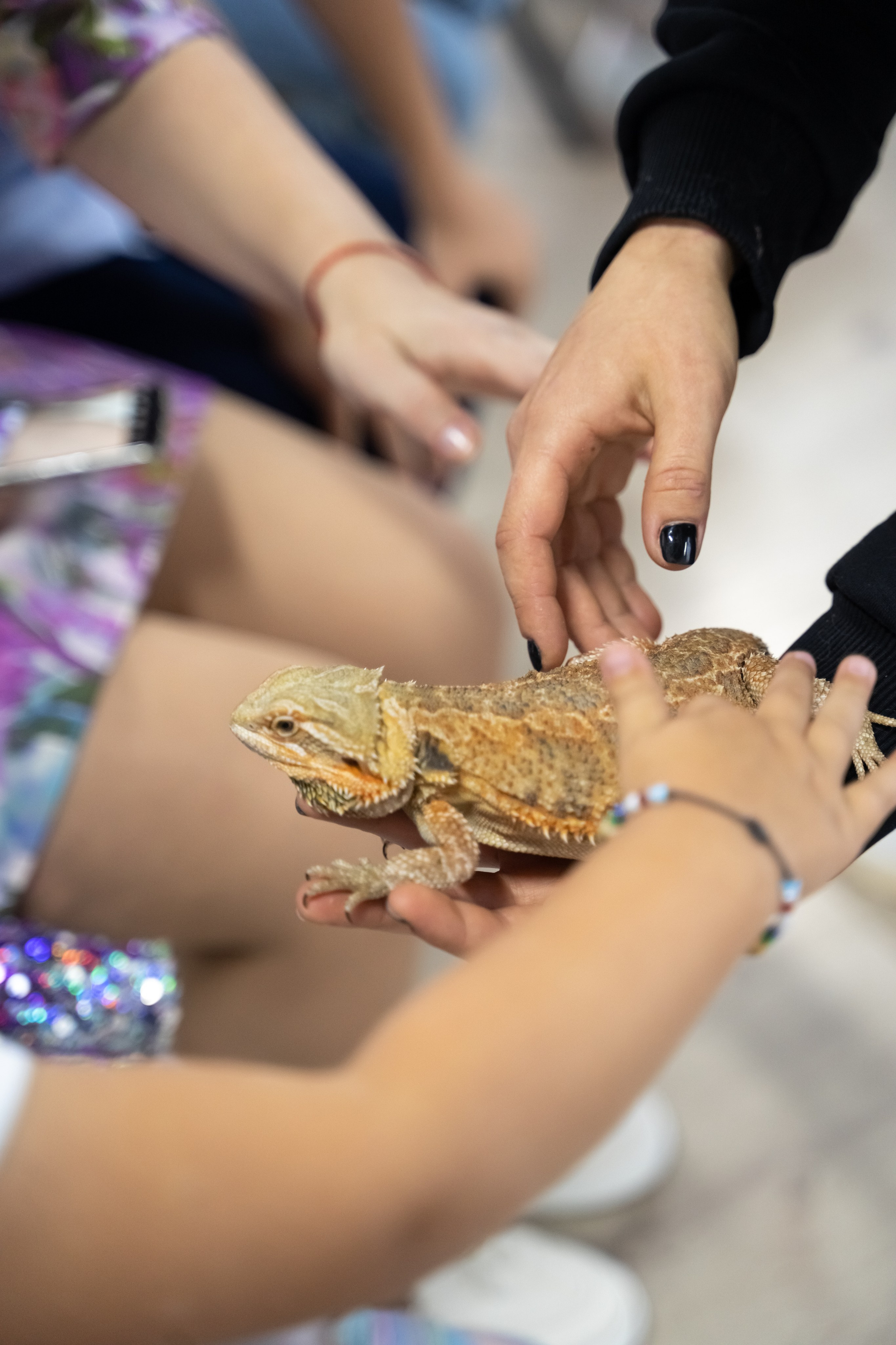 Tik Tok вечеринка. Фотограф в Одинцово, Москве