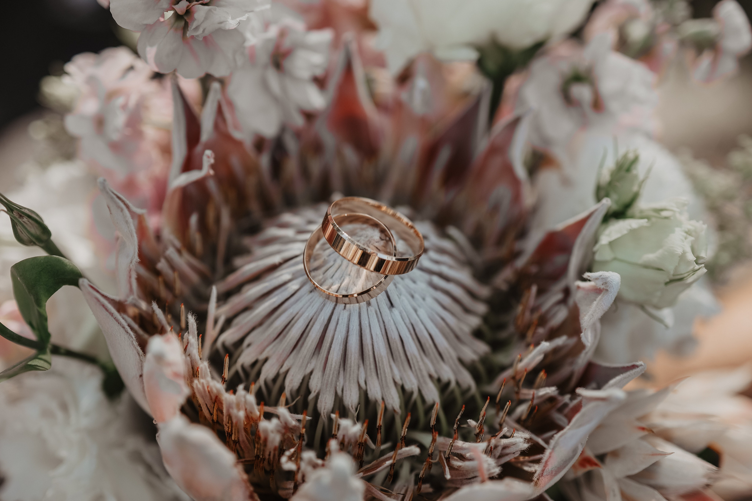 Константин и Полина. Фотограф и видеограф в Москве Полина Абраменкова