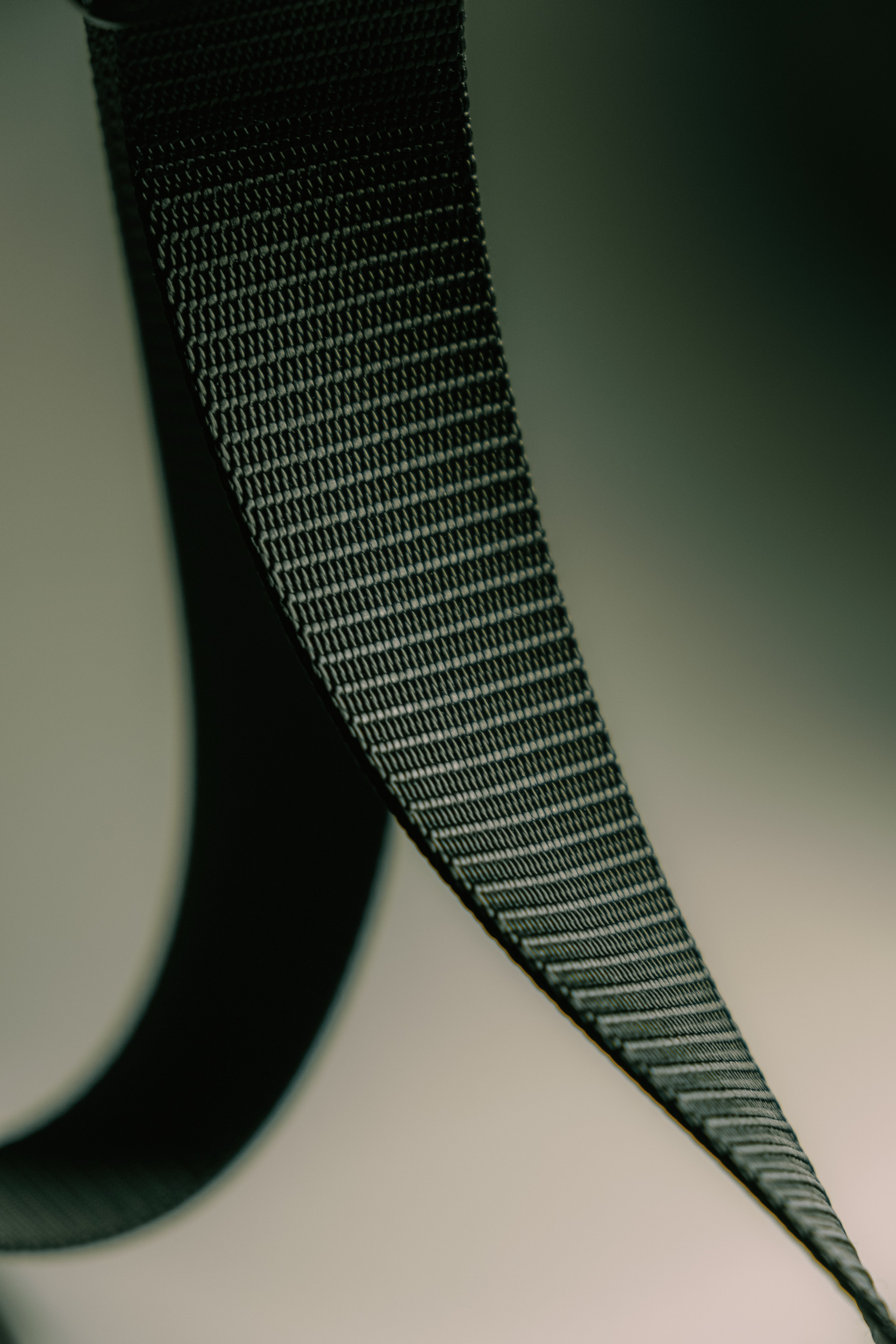 Ремень. Фуд-фотограф в Москве | Профессиональная съемка блюд и еды | Горбачёв Виталий