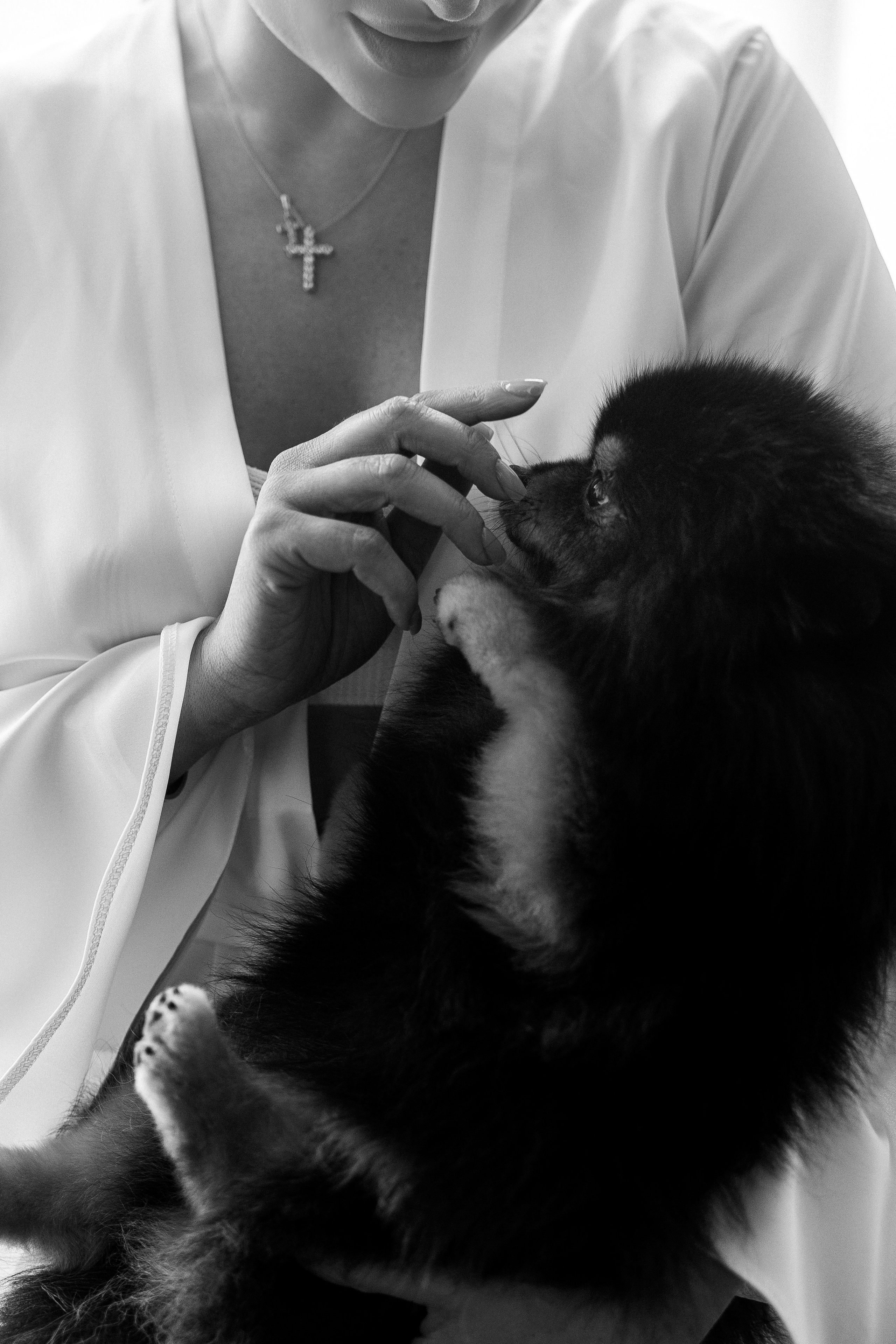 Венчание. Главная