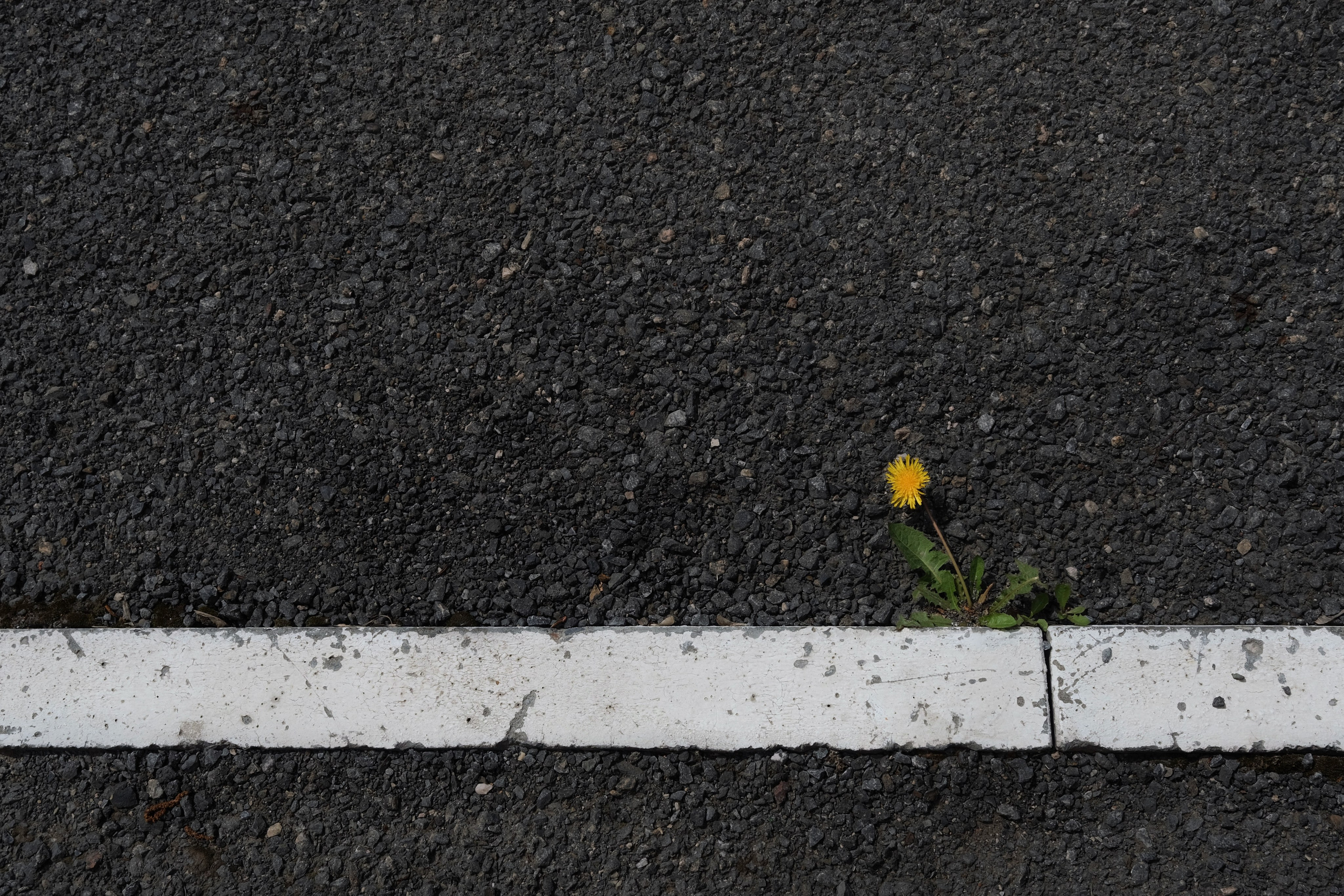 Одиночные. Фотограф Евгений Андреев