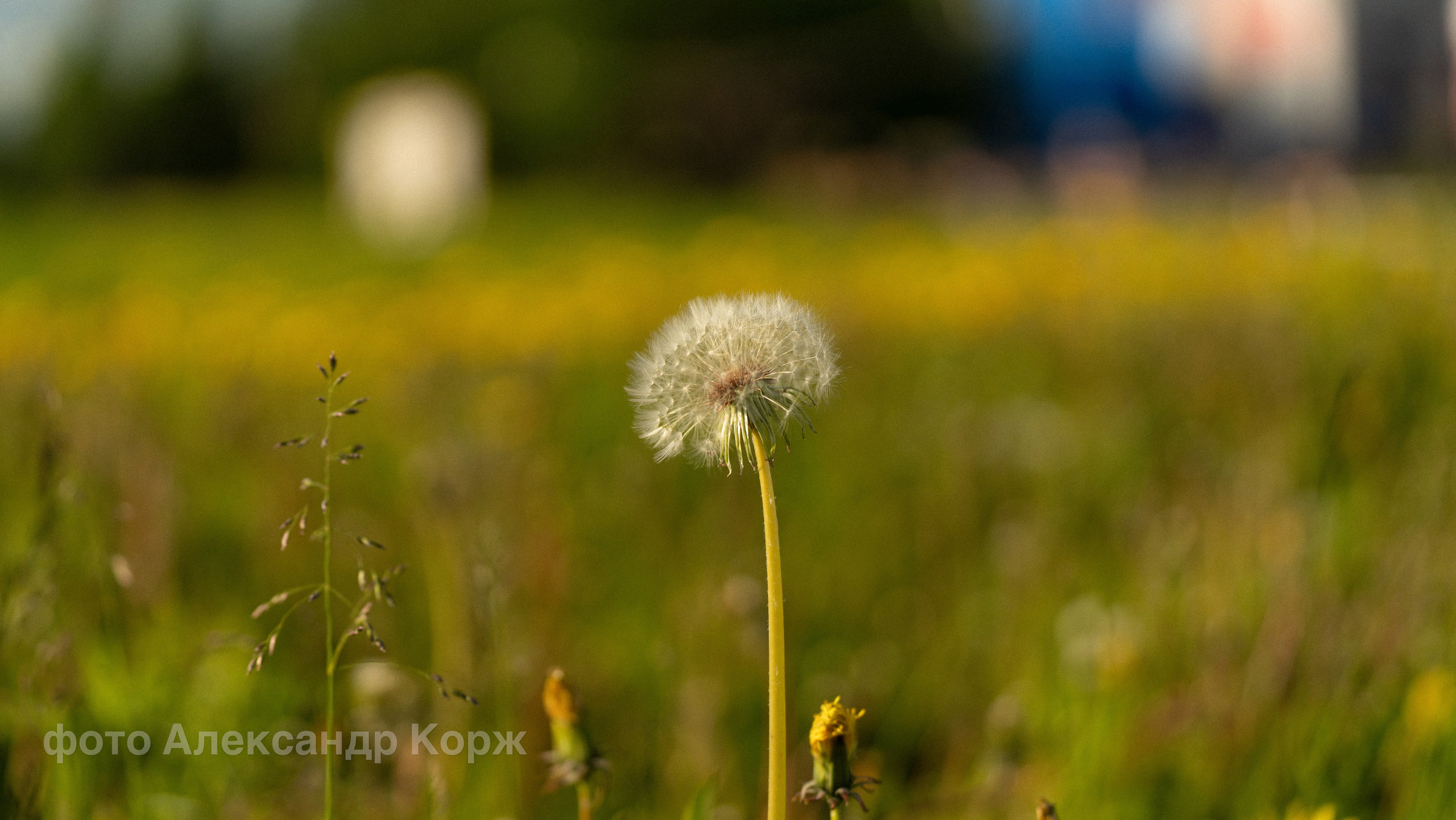 Фотографии Северного поселка Айхал. Фотографии и видеосъемка, Айхал, Удачный, Якутия. Фотографии Айхал