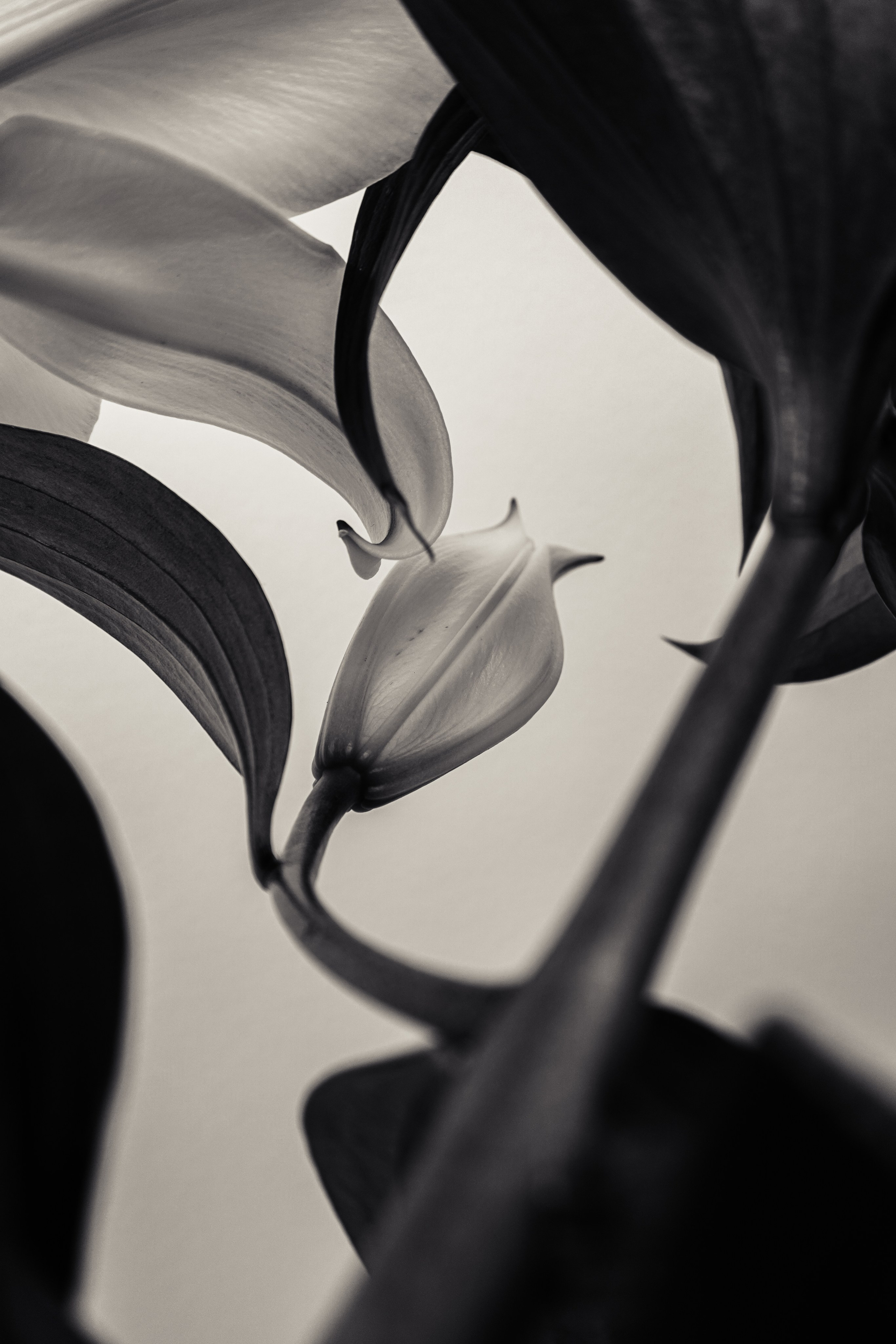 Товары. Фотограф Алиса Аспер