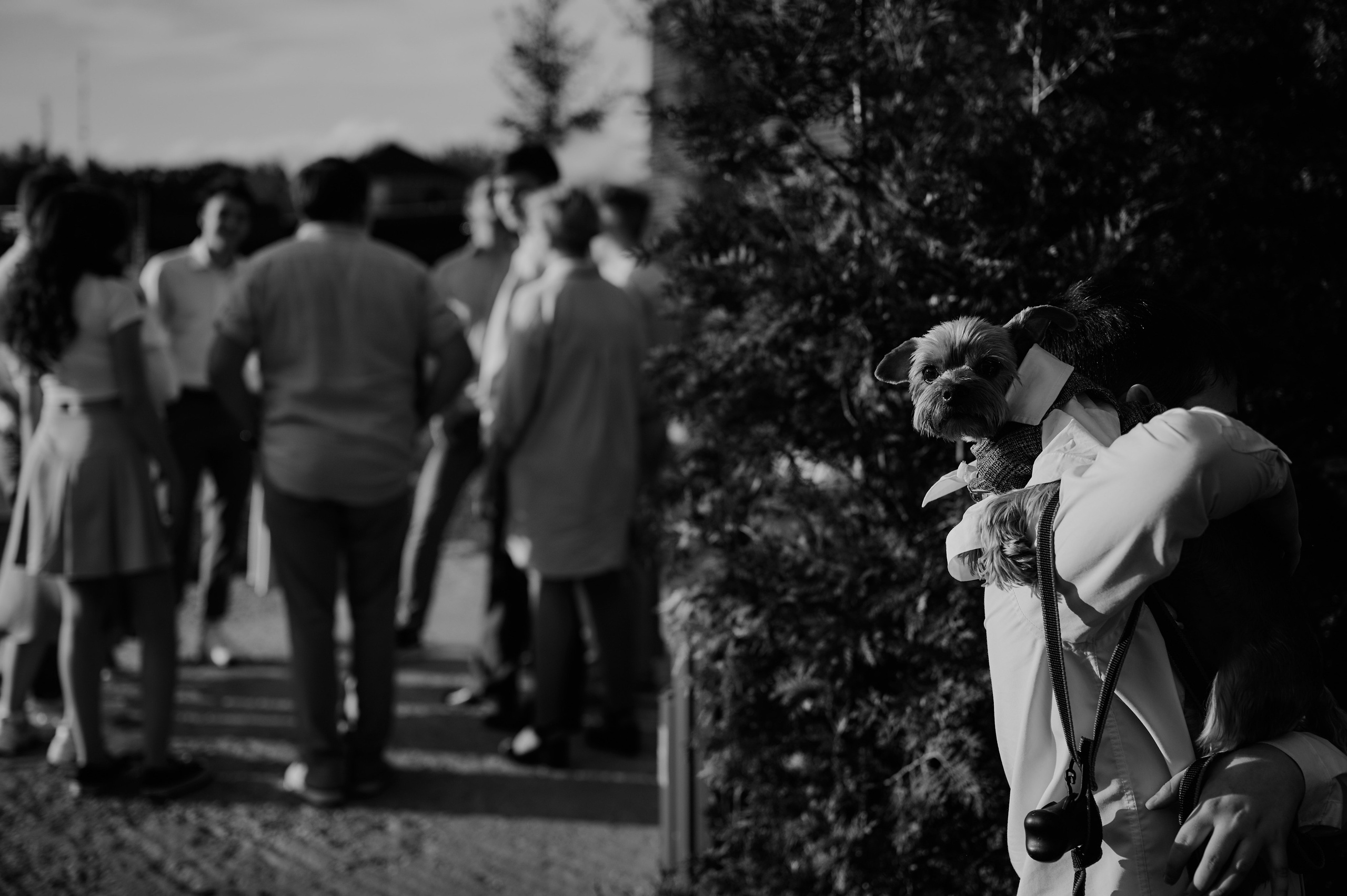 M&L. Свадебный и репортажный фотограф