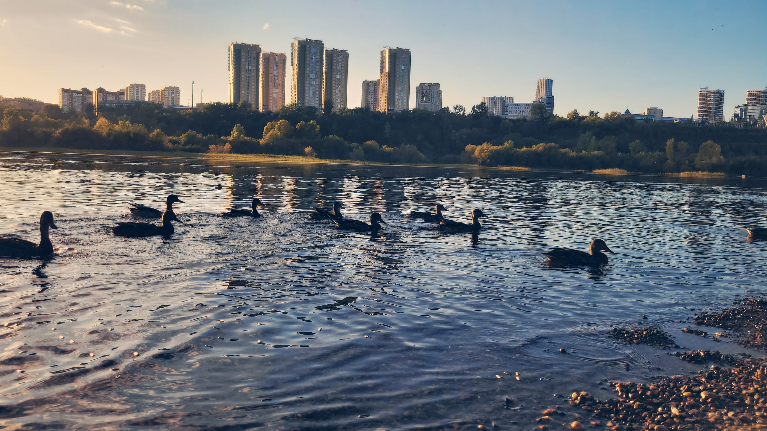 Игорь Урывский. Фотограф Красноярск