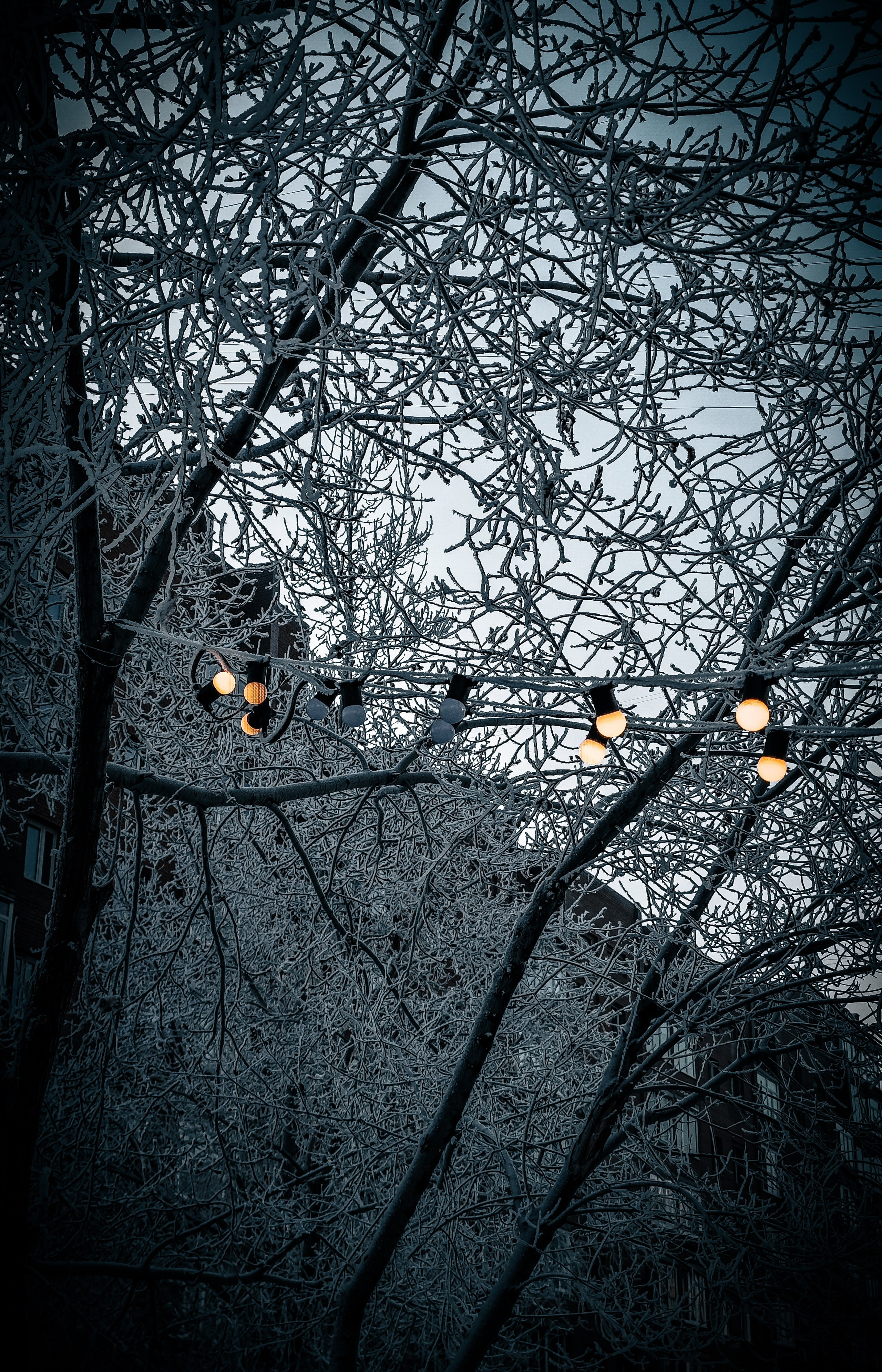 Скоро лето. Игорь Урывский. Фотограф Красноярск