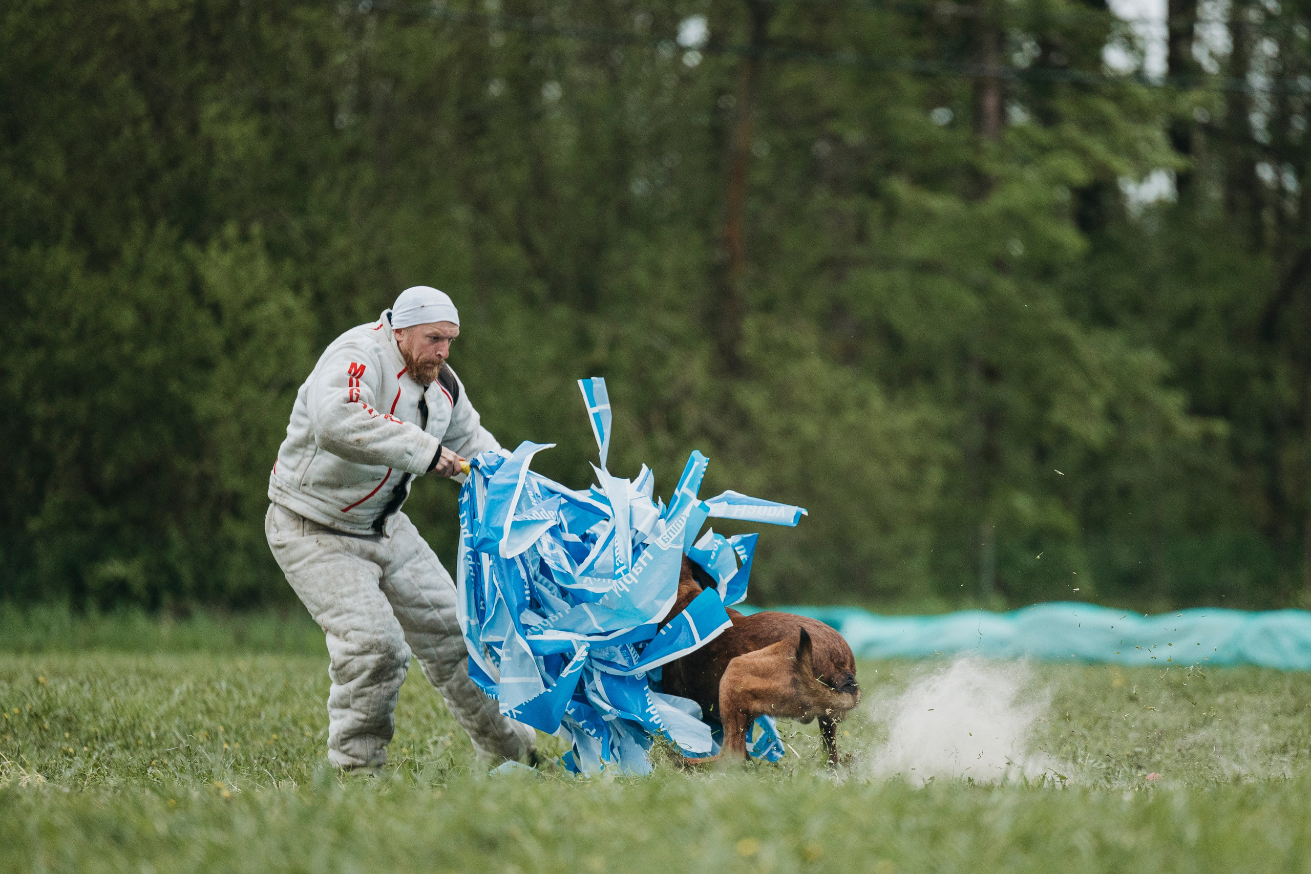26.05.25 г. Пушкин квалификационные соревнования. Фотограф-анималист Анна Маринич