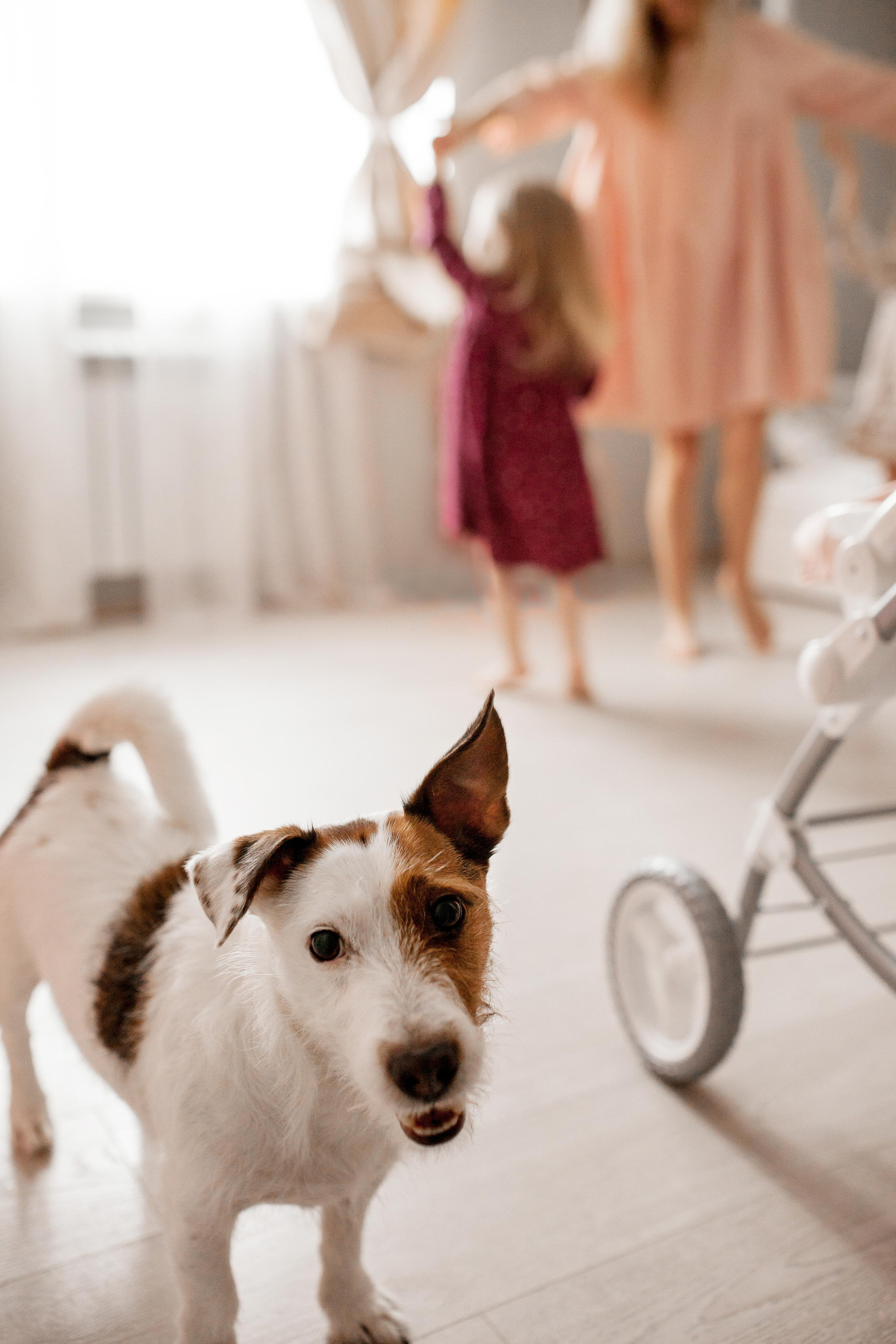 СЕМЕЙНЫЕ ИСТОРИИ. Семейный фотограф в Новосибирске Ирина Габо