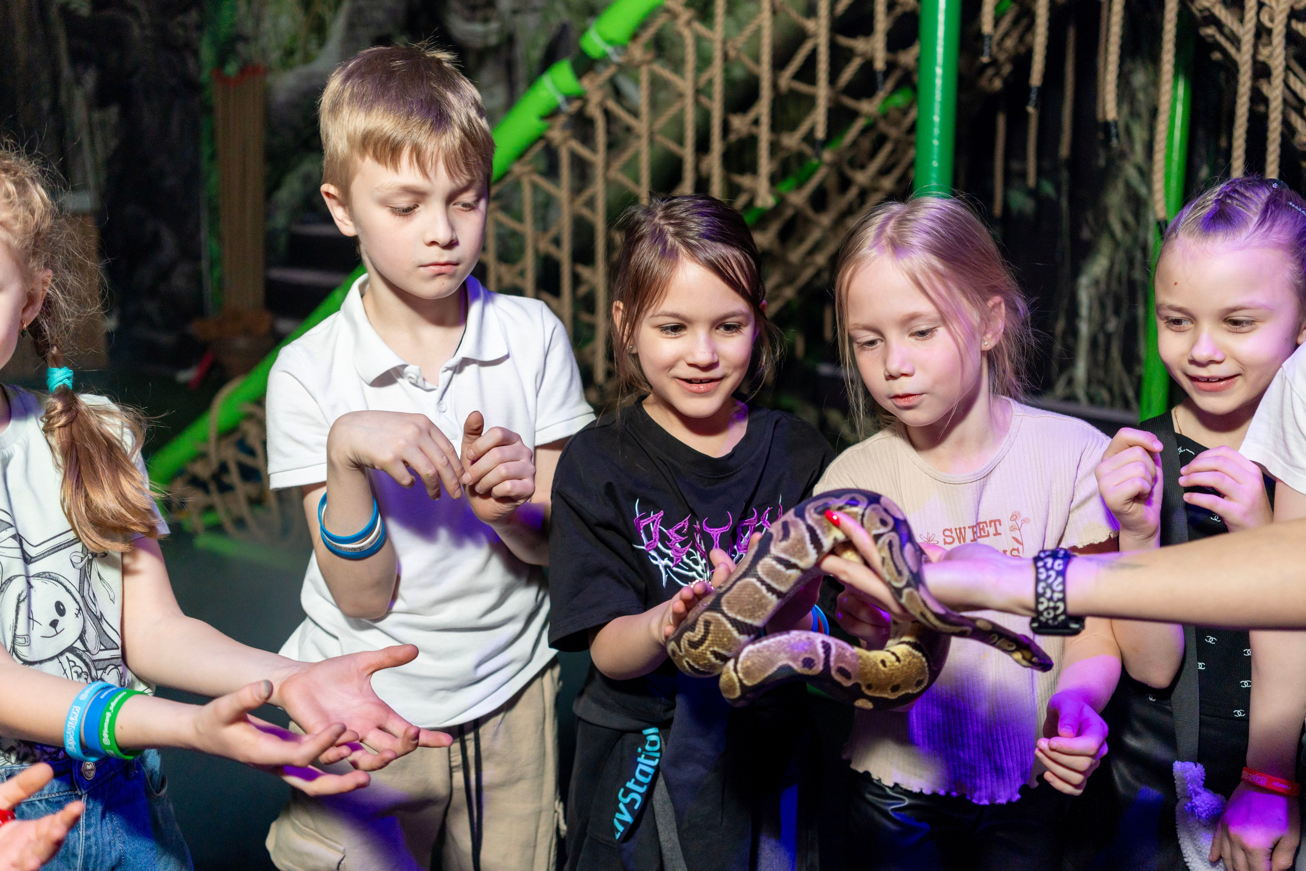 Квесты. Фотограф Юлия Попова