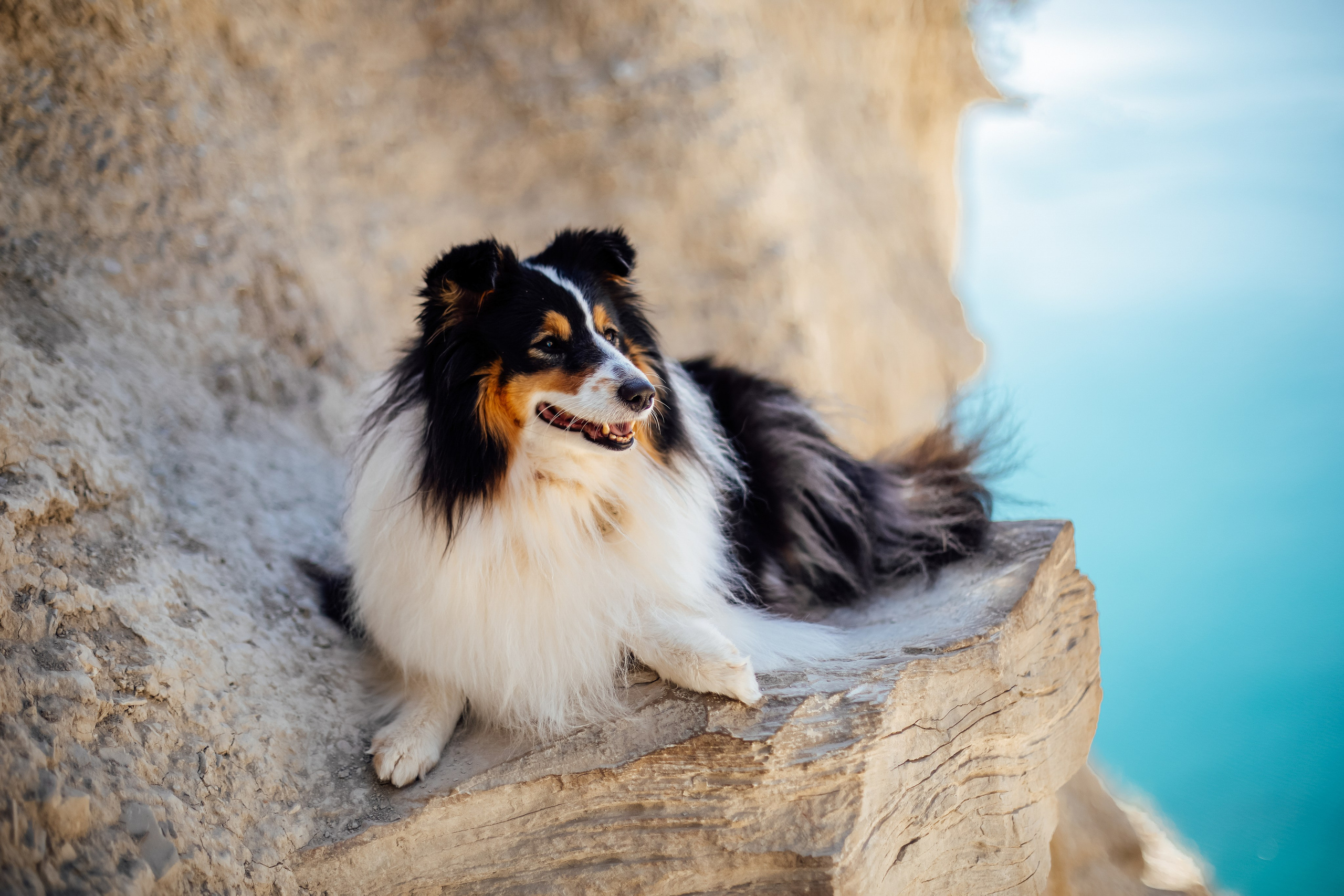 Ласточкины Гнёзда. Свадебный и семейный фотограф/видеограф в Краснодаре Наталья Осинская