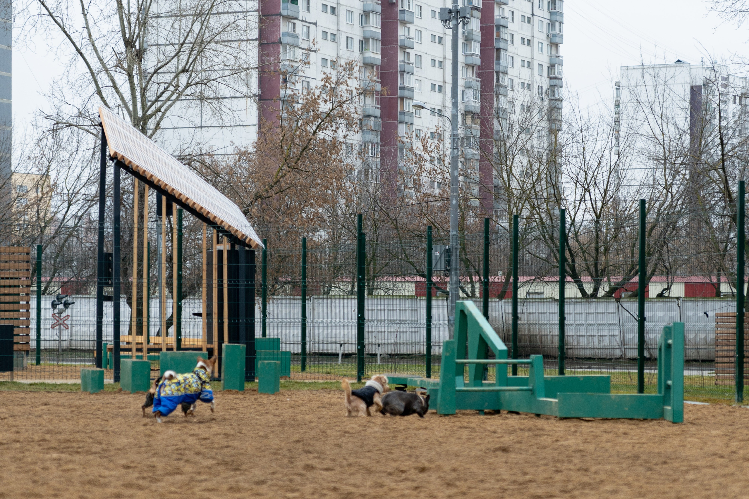Площалка. Фотограф в Москве Лера Голубенко