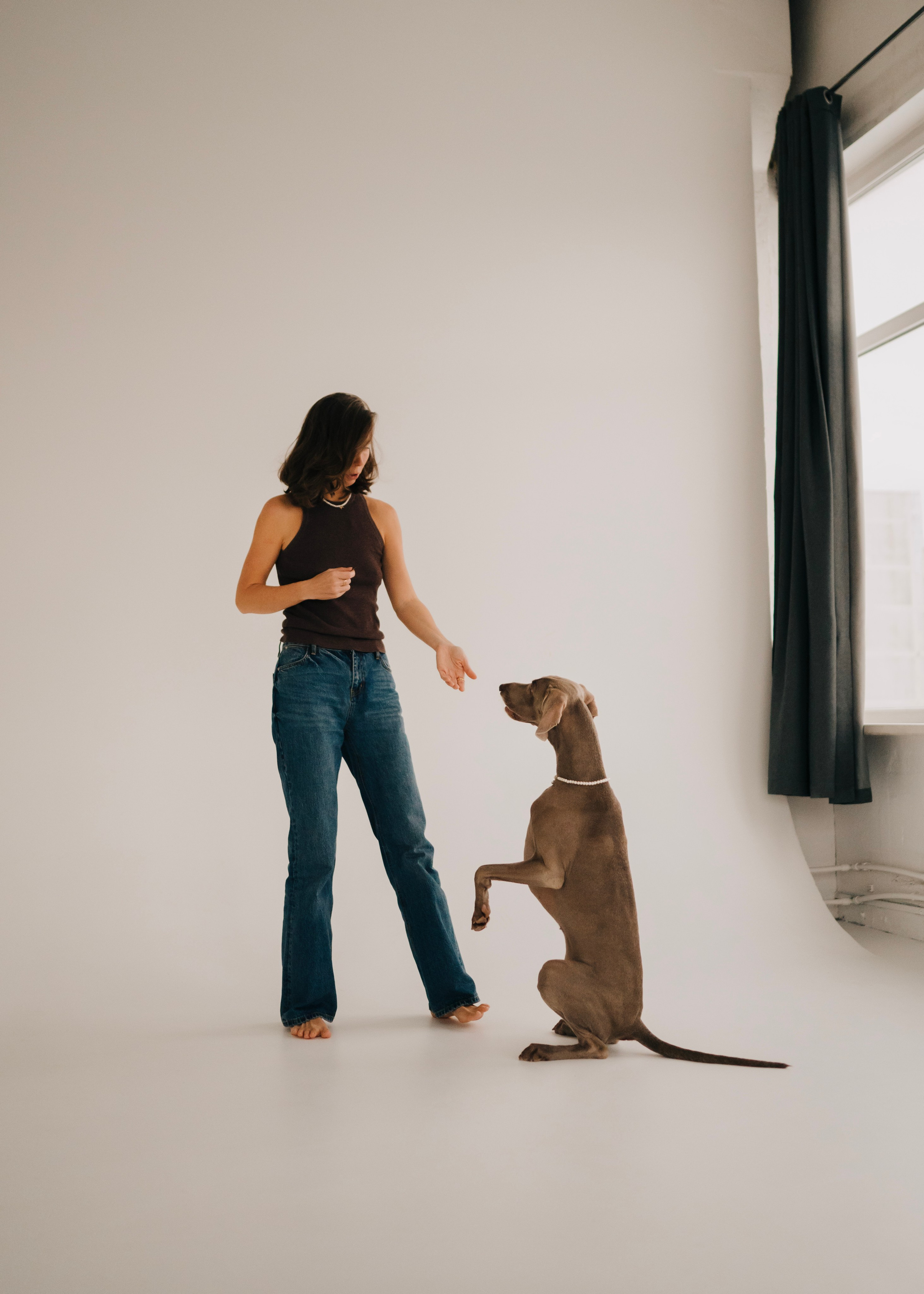 Фани. Фотограф- анималист Александра Матвеева