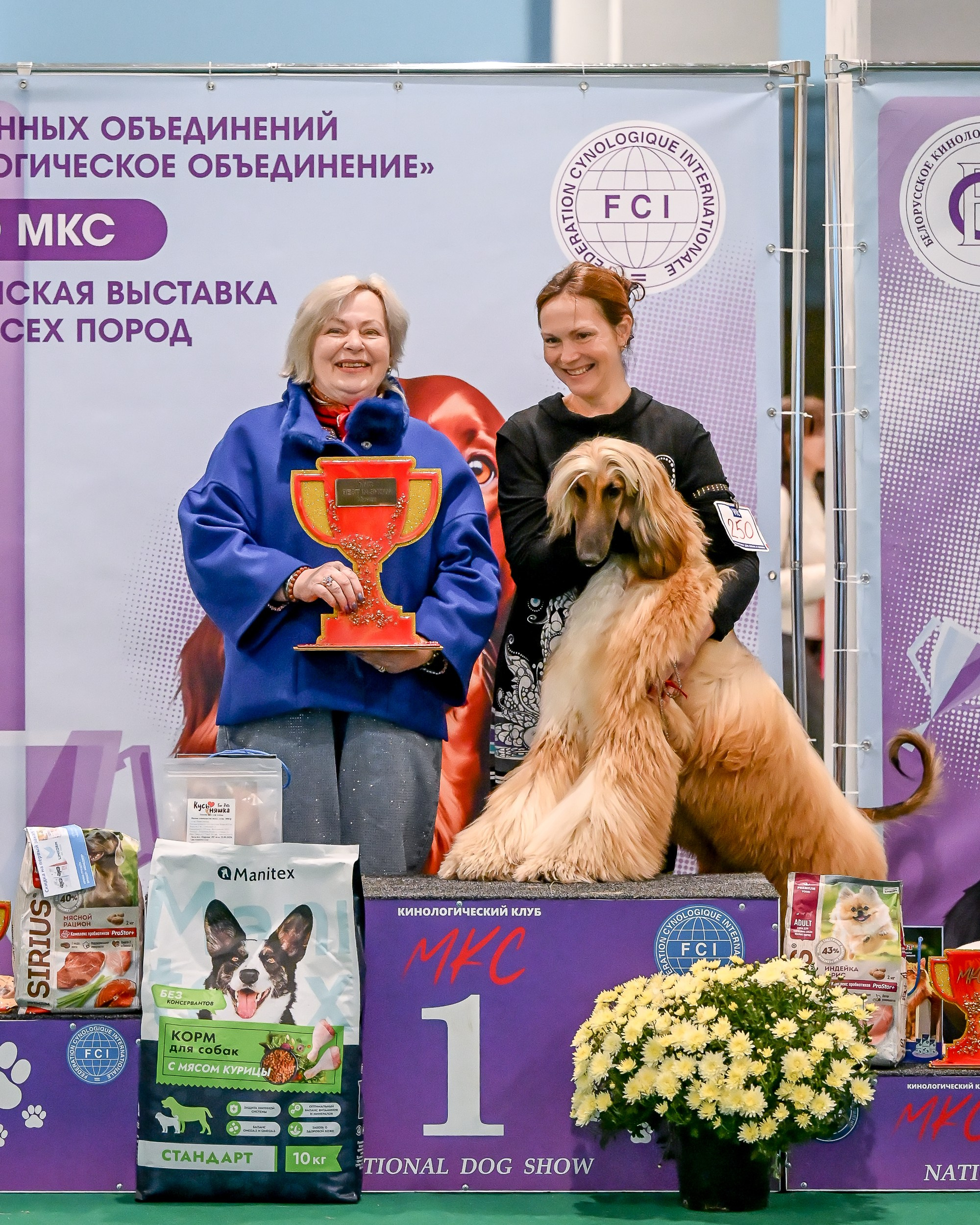 19.10 МКС и Элита. Галерея фотографий афганской борзой