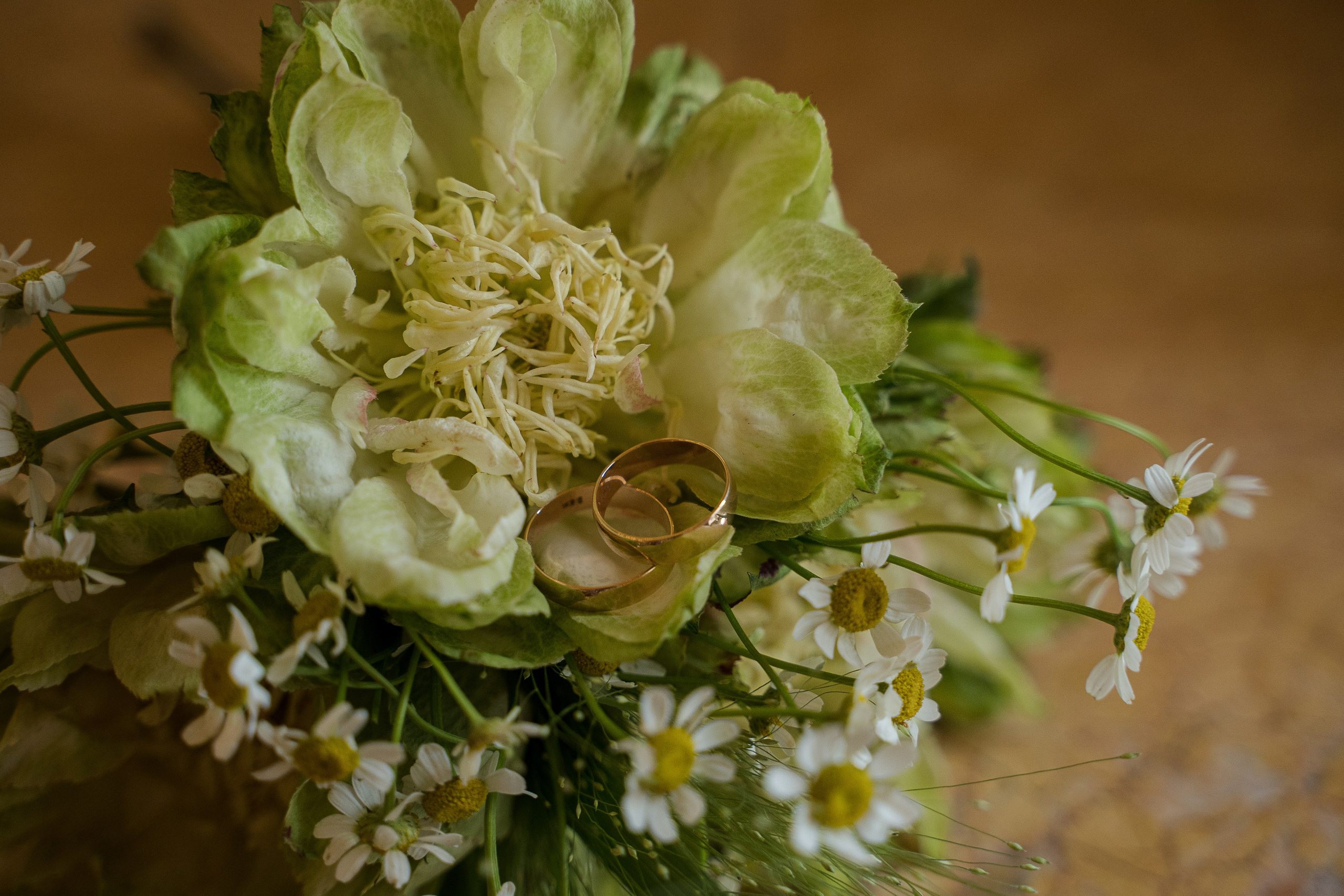 Евгений и Кристина. Свадебный и семейный фотограф в Пушкине и Санкт-Петербурге Мария Филиппова