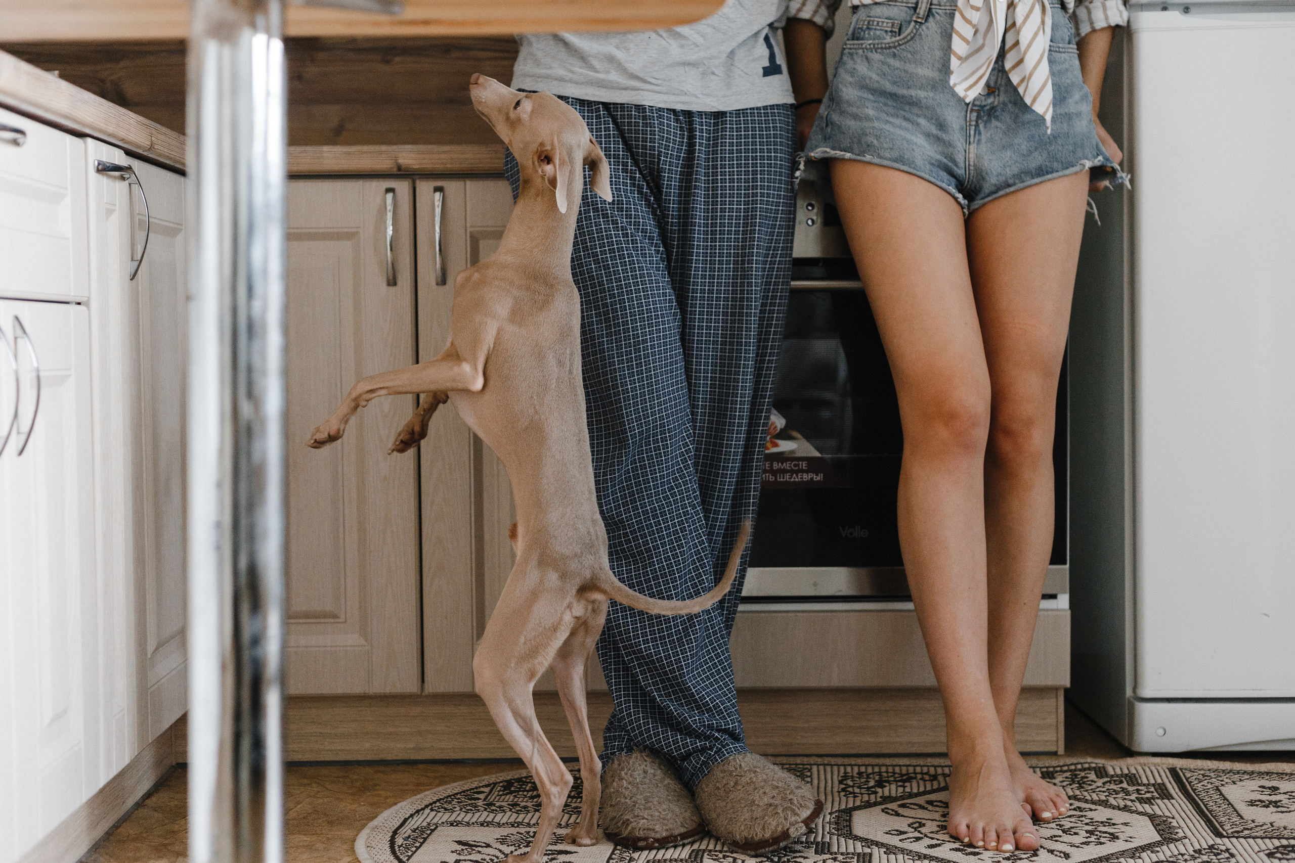 Max + Dasha. Антон Айрис | Anton Iris — стильно сниму твою свадьбу и депрессию