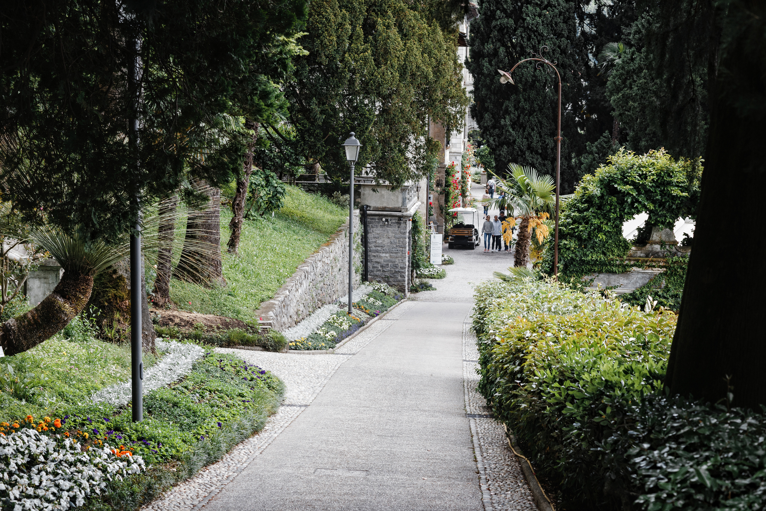 Pavel + Polina. Антон Айрис | Anton Iris — стильно сниму твою свадьбу и депрессию