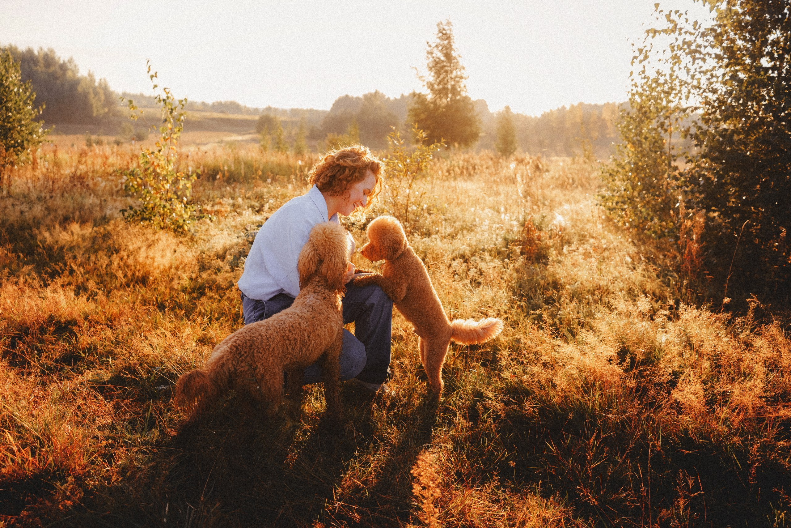 Юля, Кир и Цера. Фотограф анималист Осипчикова Мария