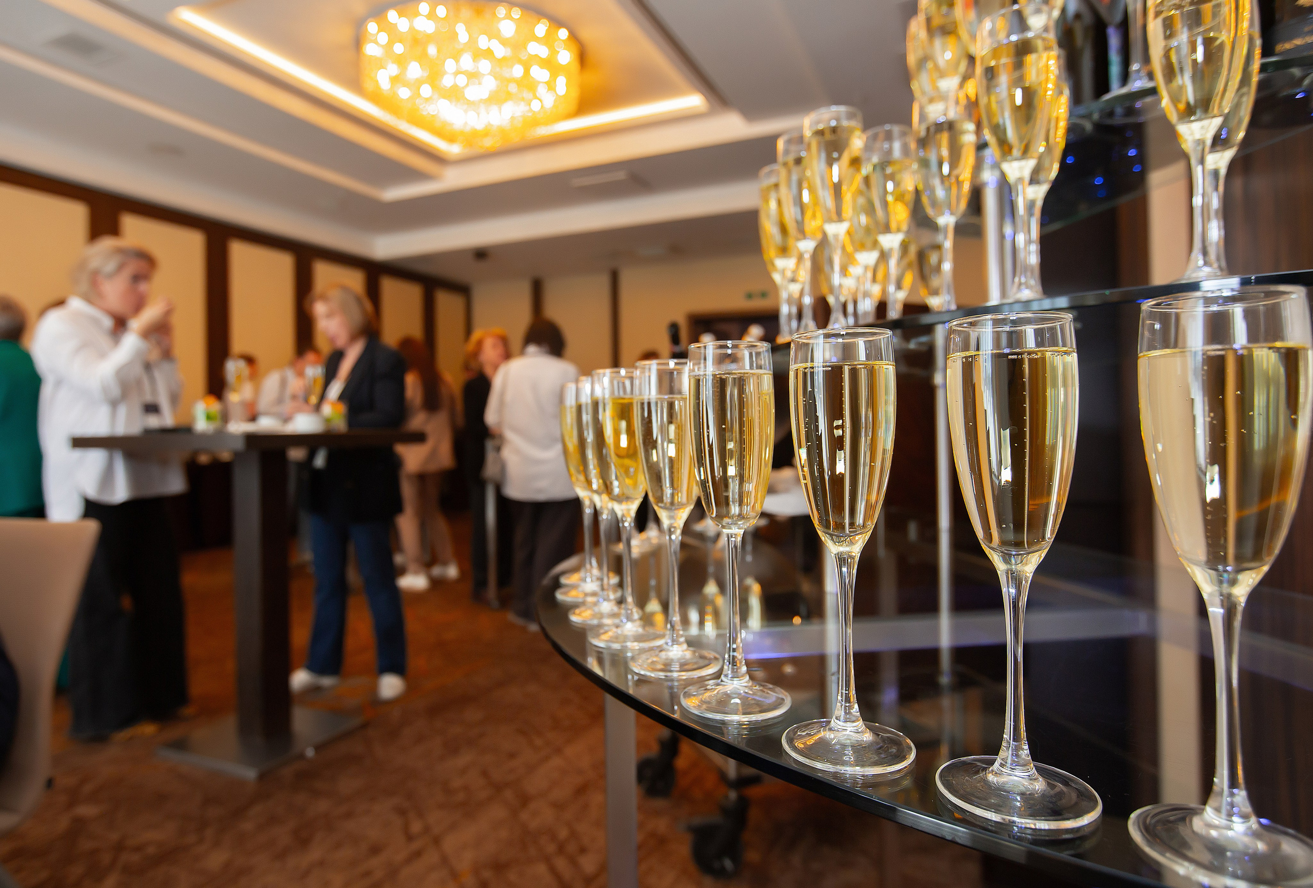 Конференции и форумы. Репортажный и свадебный фотограф в Новосибирске Марина Красавина