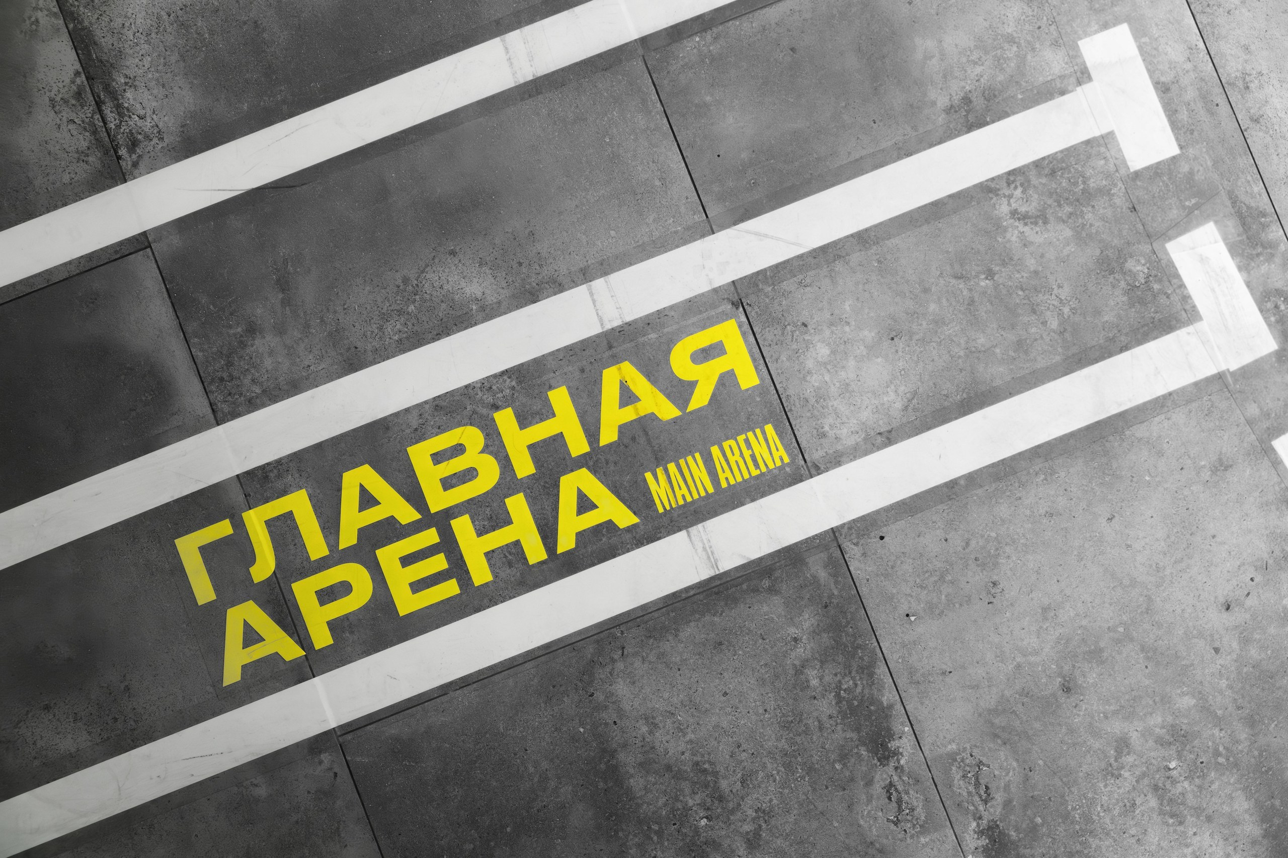 Лига Ставок. Night2Day Санкт-Петербург