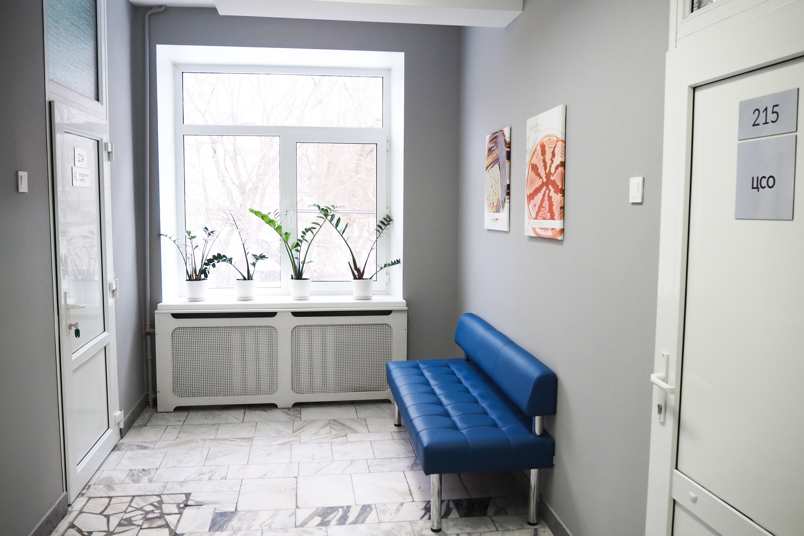 Стоматологическая клиника