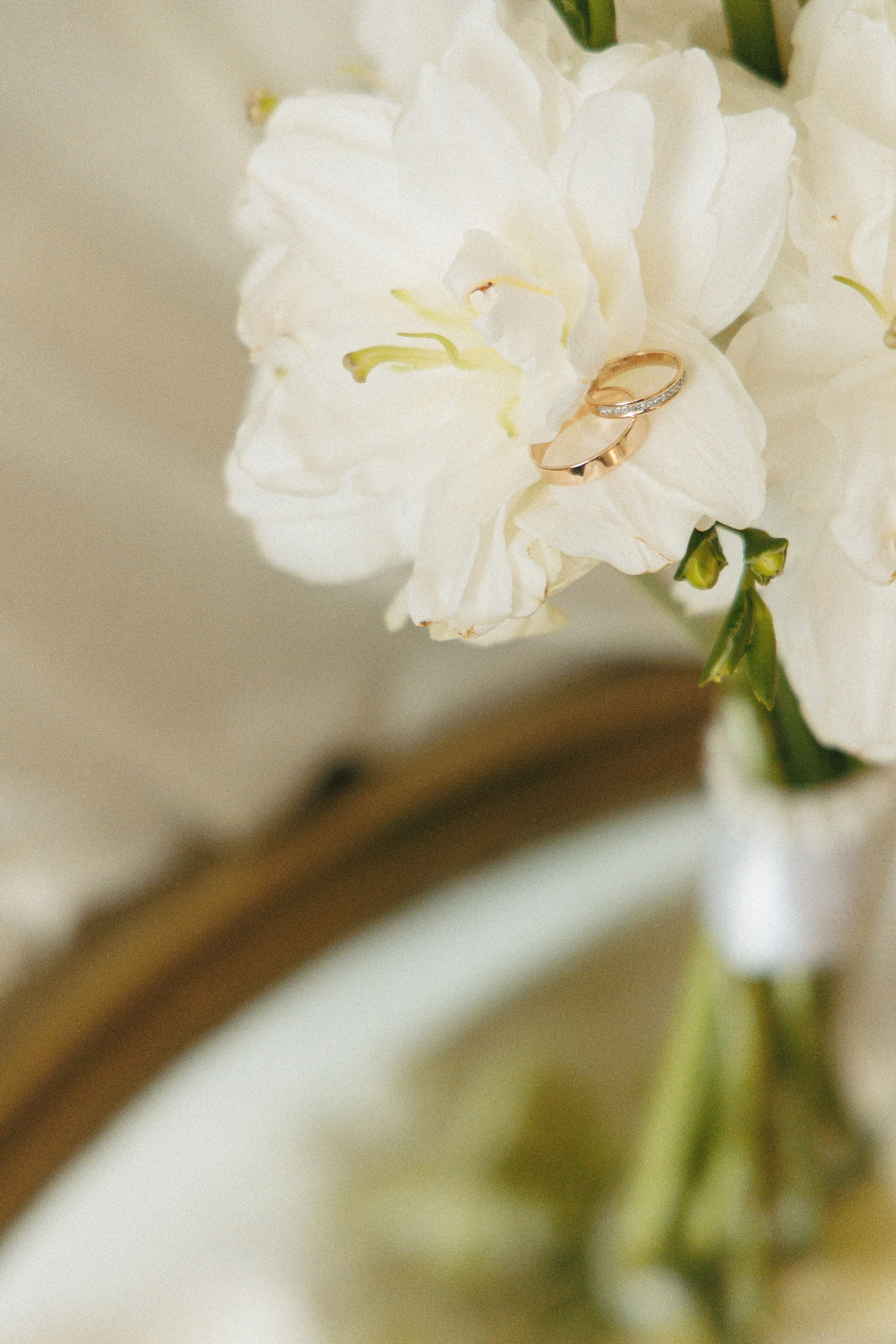 Анжелика и Данил. Свадебный фотограф Уфа