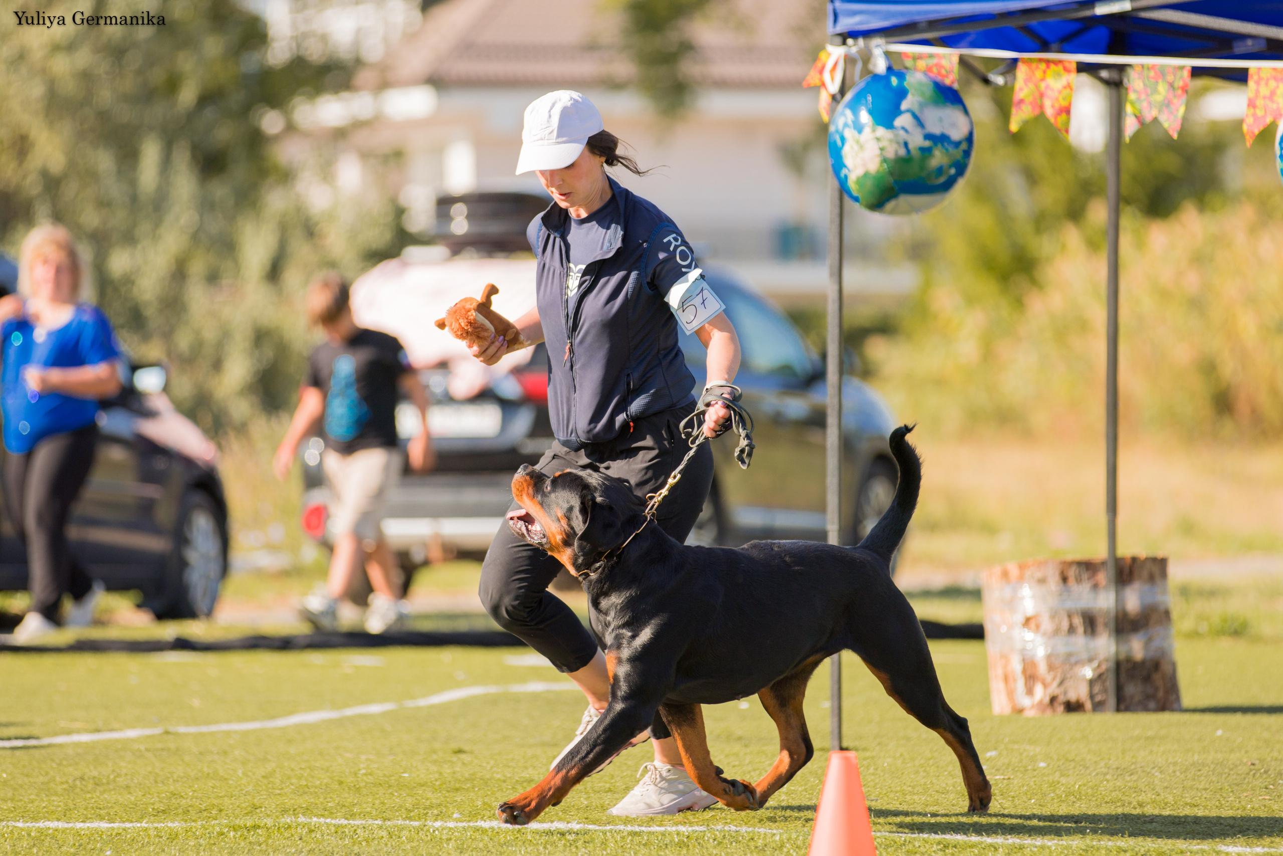 Анапа 16-17.09.2023 моно ротвейлеров. Фотограф-анималист Юлия Германика