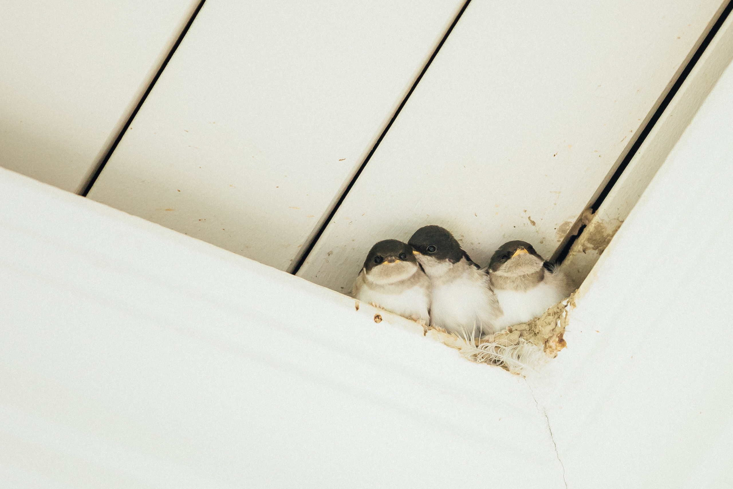 Фотосъемка гольф-турнира. Детский и семейный фотограф Муксимова Ирина