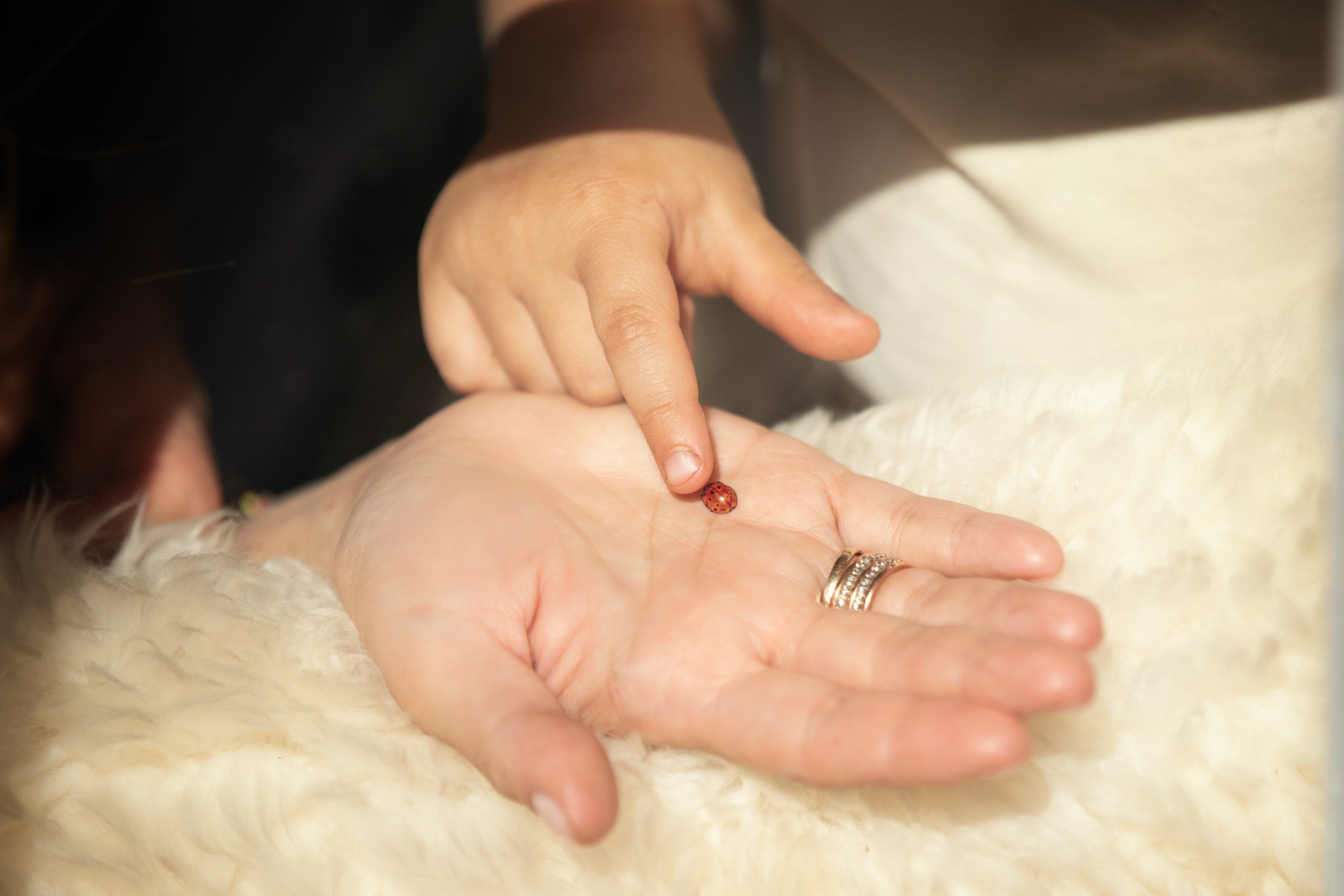 Фотосессия на даче. Детский и семейный фотограф Муксимова Ирина