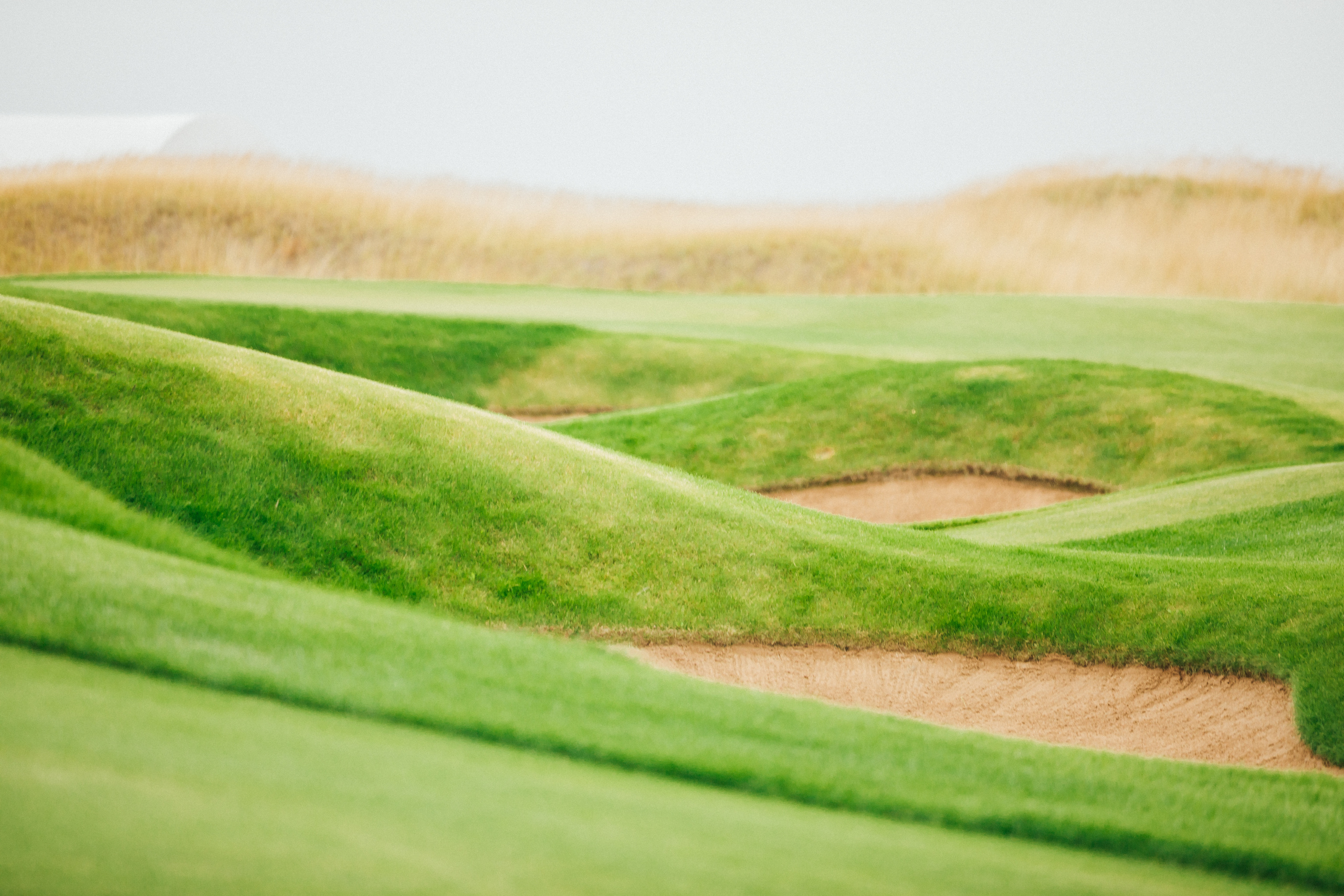 Фотосъемка гольф-турнира. Детский и семейный фотограф Муксимова Ирина