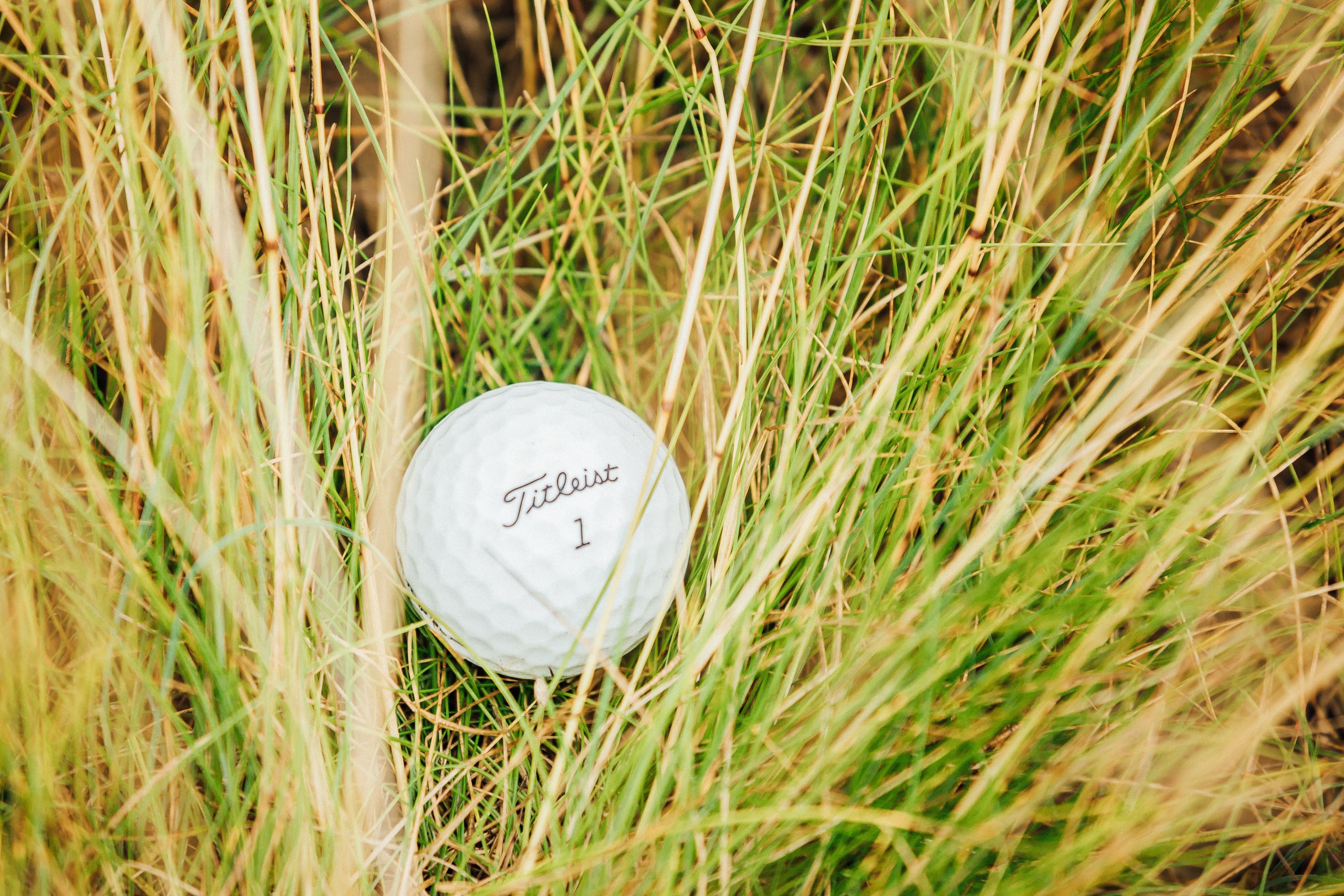 Фотосъемка гольф-турнира. Детский и семейный фотограф Муксимова Ирина