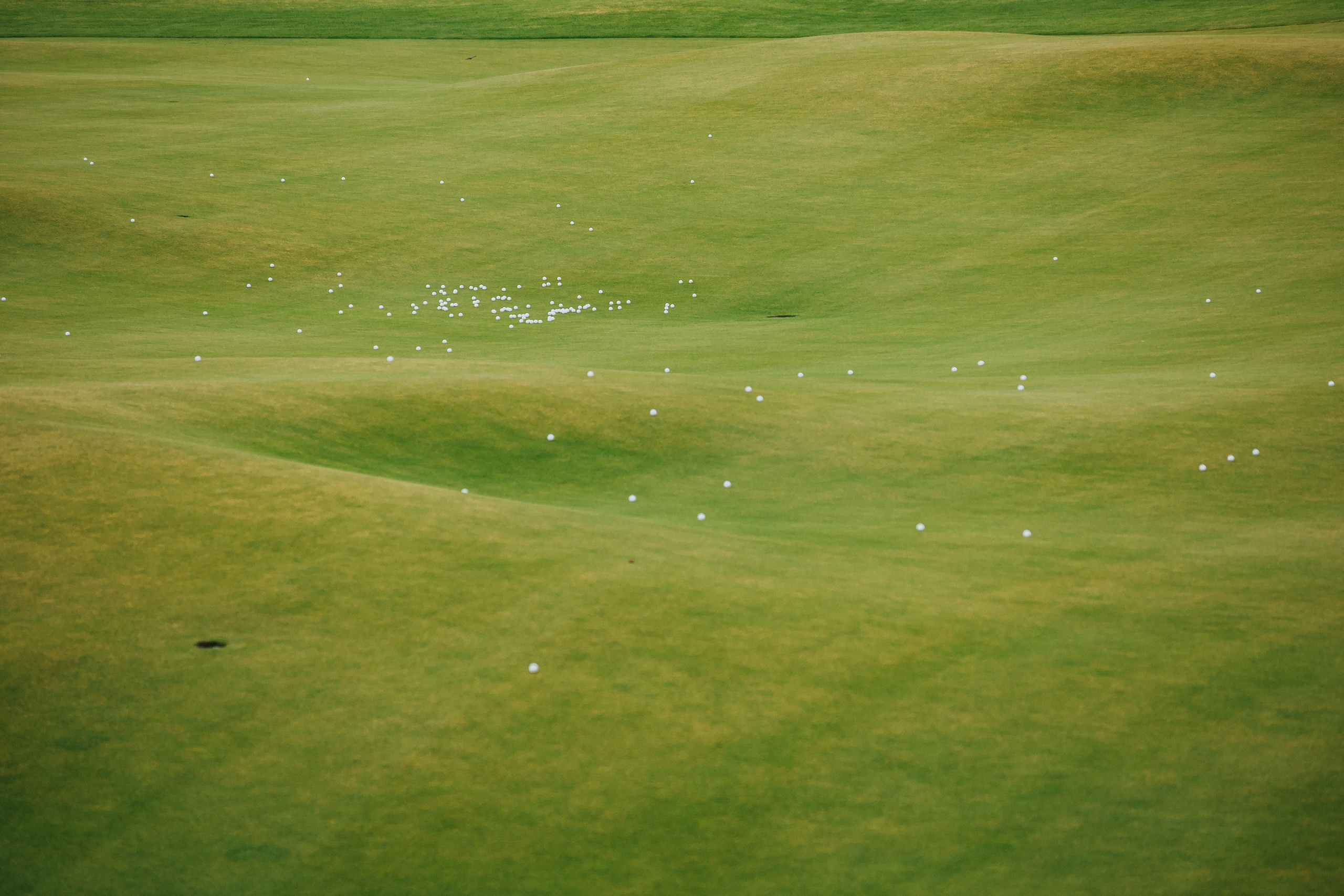 Фотосъемка гольф-турнира. Детский и семейный фотограф Муксимова Ирина