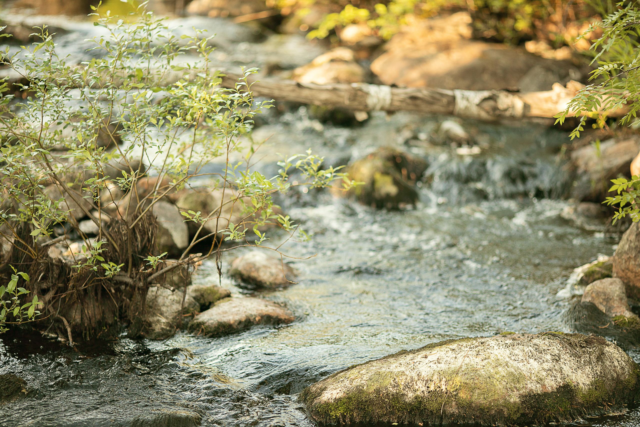 Фотосессия в заповеднике Карелии. Детский и семейный фотограф Муксимова Ирина