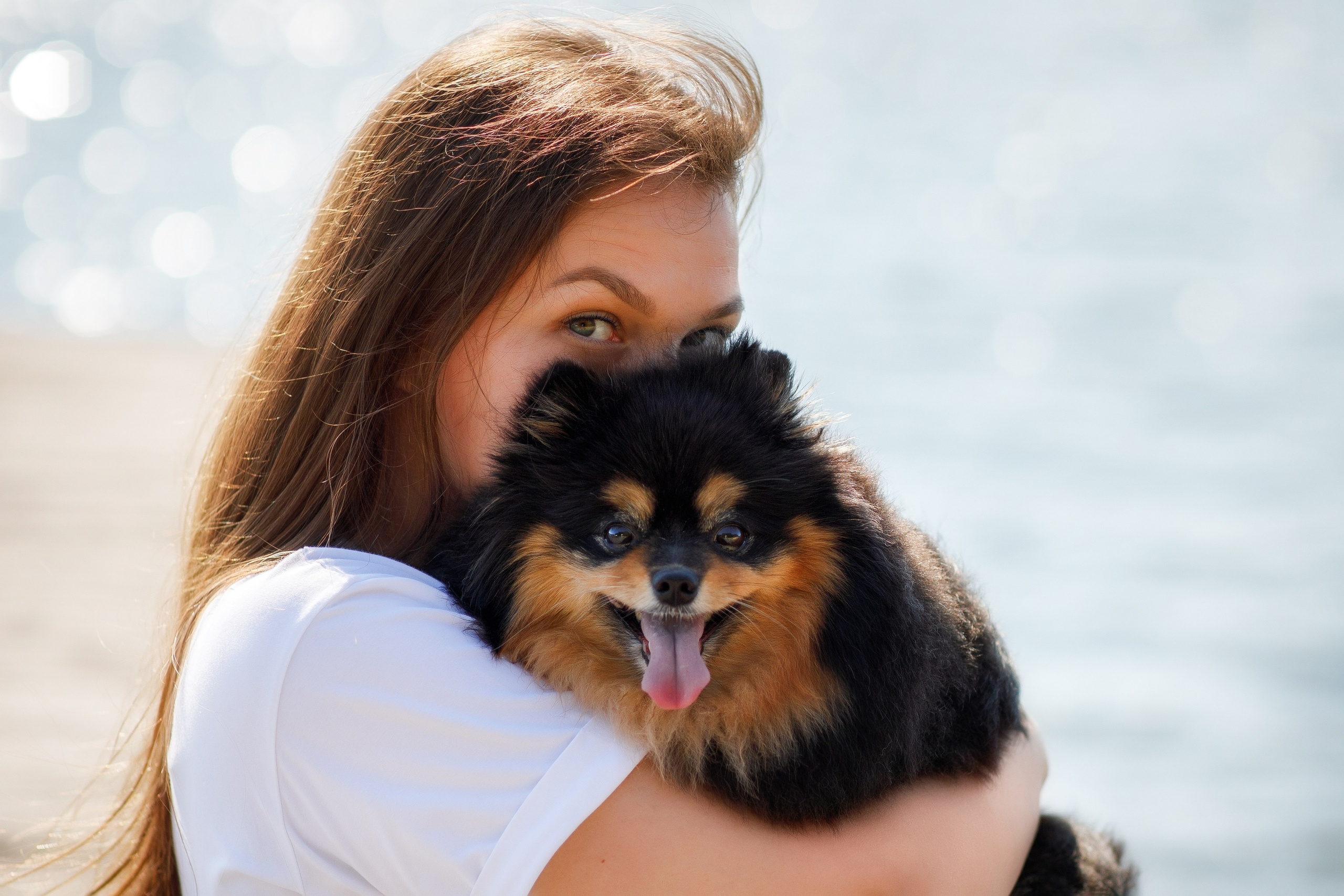 Фотопрогулка. Фотограф для Вашей собаки