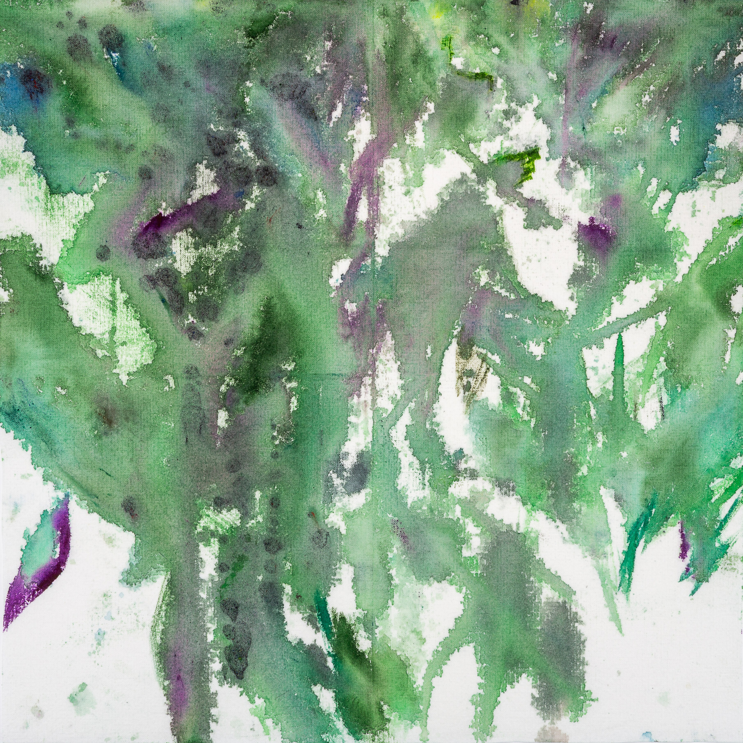 Аня Ким — Дикий сад