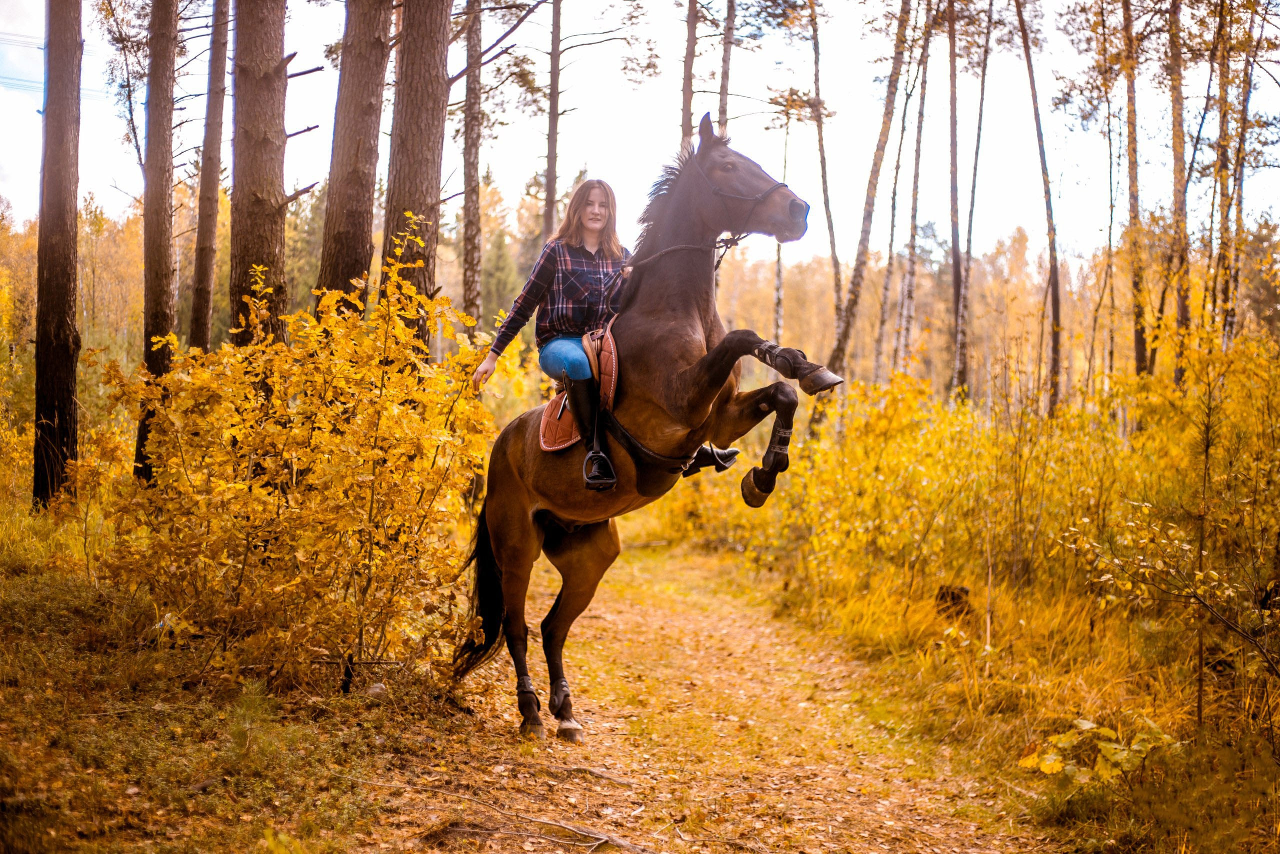 Фотосессия с лошадью, с лошадьми, лошади