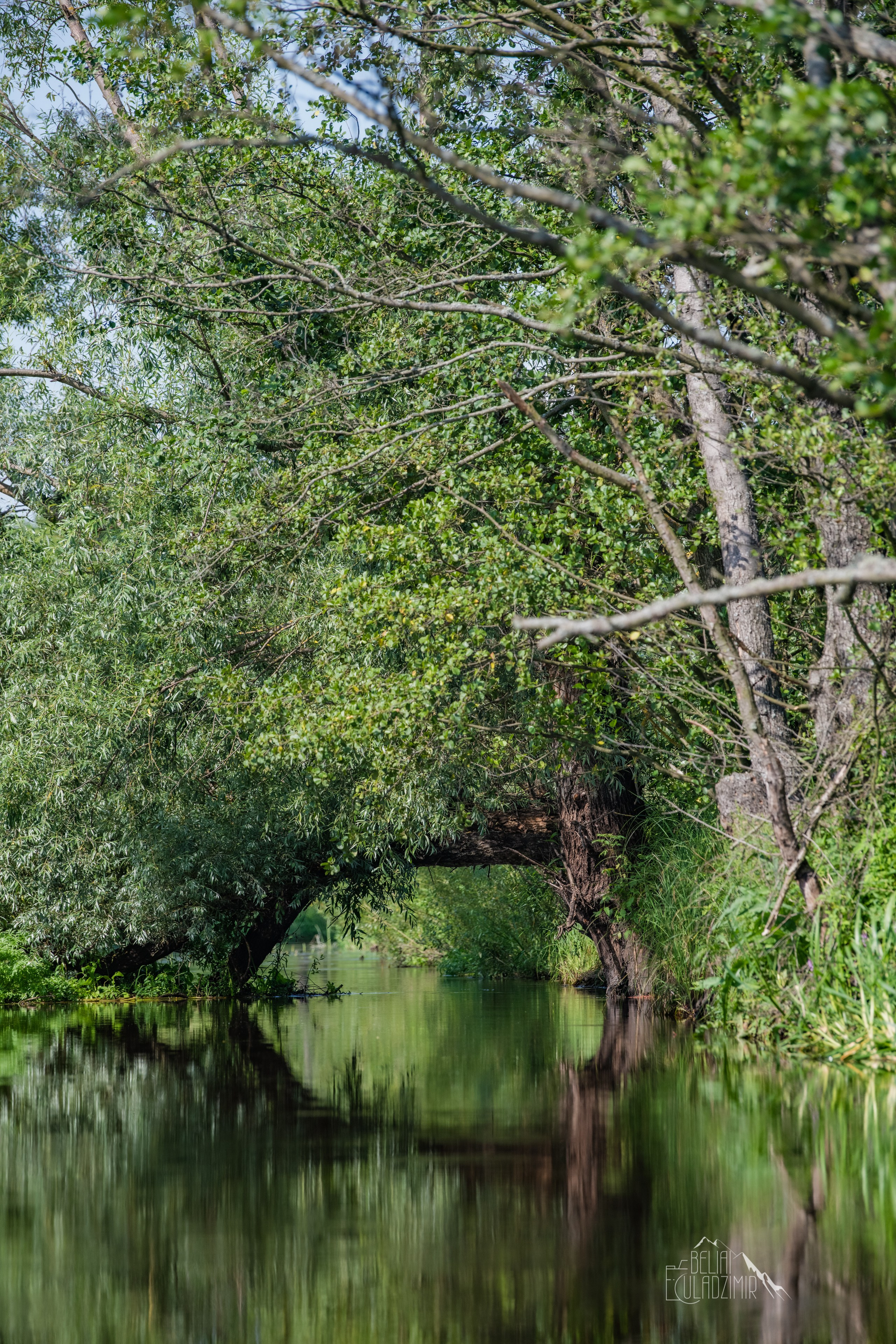 Сплавы 2025. Репортажный фотограф Владимир Беляй