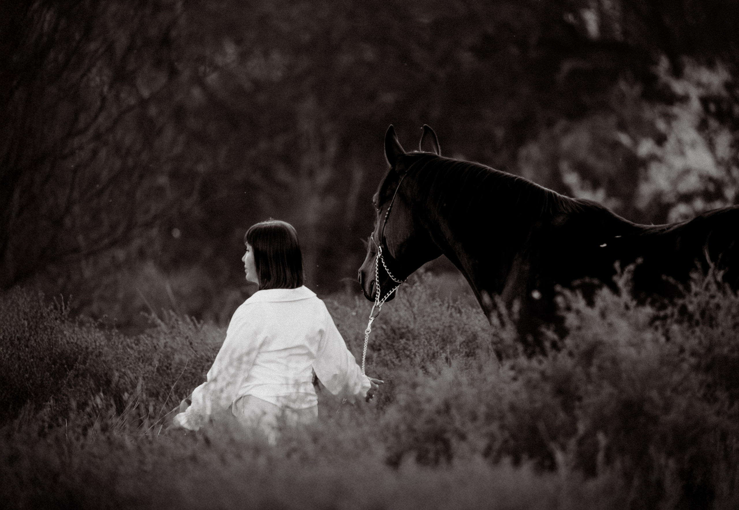 Лена и Сархан. Фотограф-анималист Ксендзова Кристина
