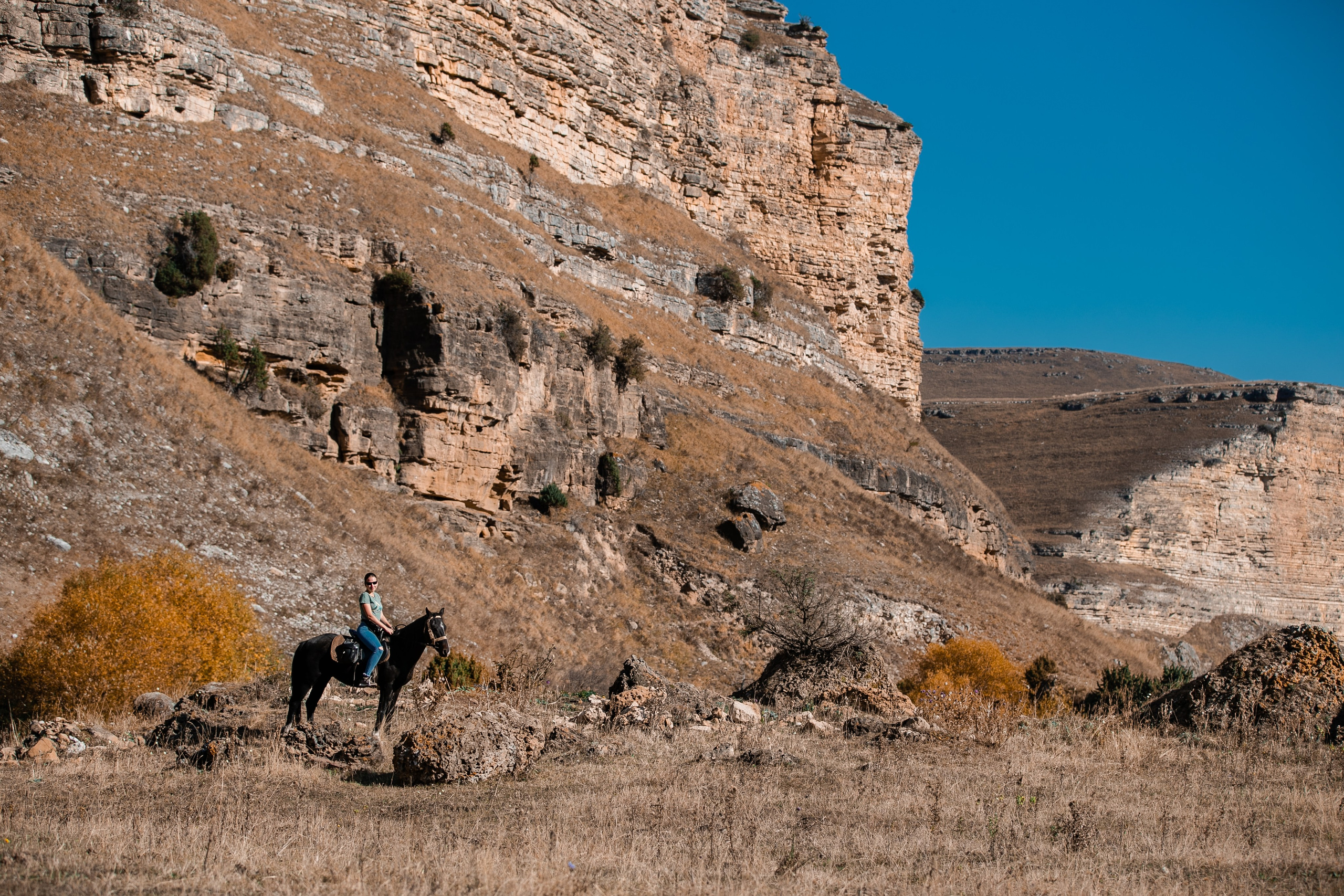 Фототуры в Карачаево-Черкессии 2019-2020. Фотограф-анималист Ксендзова Кристина