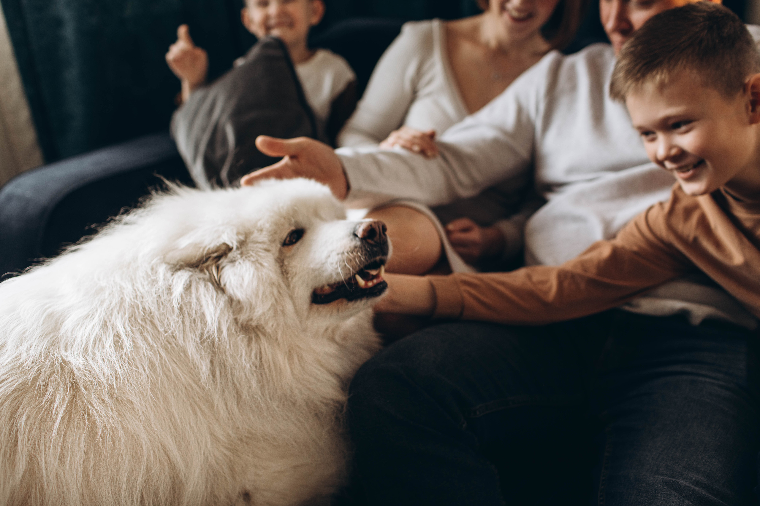 Home II. Семейный, свадебный фотограф в Чите Екатерина Мельникова