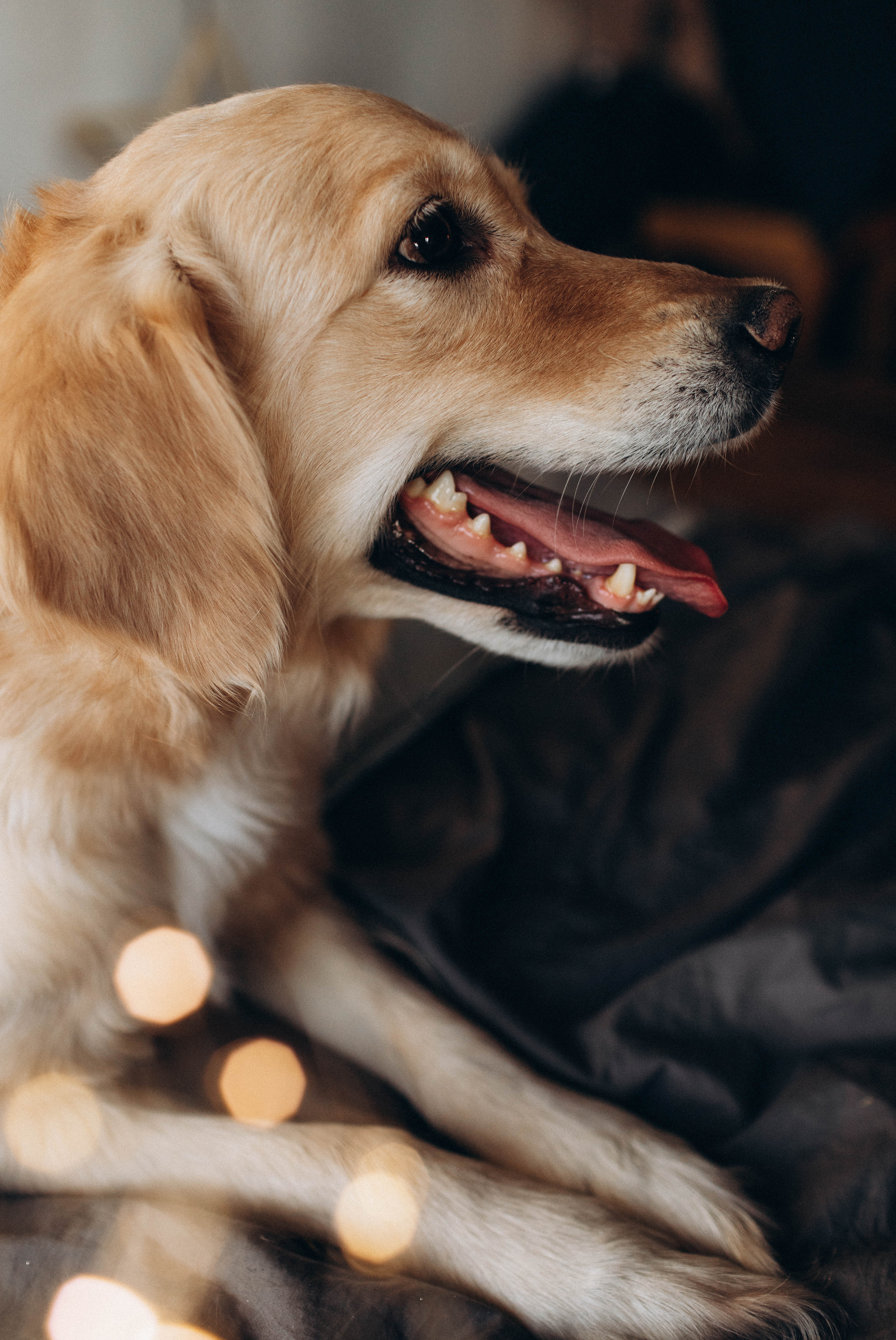 Настя. Семейный, свадебный фотограф в Чите Екатерина Мельникова