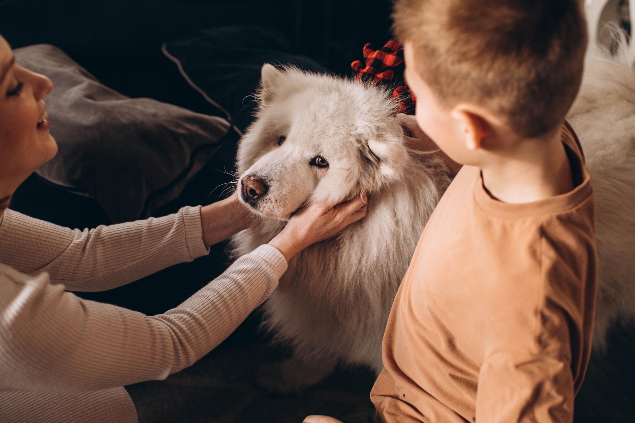 Home II. Семейный, свадебный фотограф в Чите Екатерина Мельникова