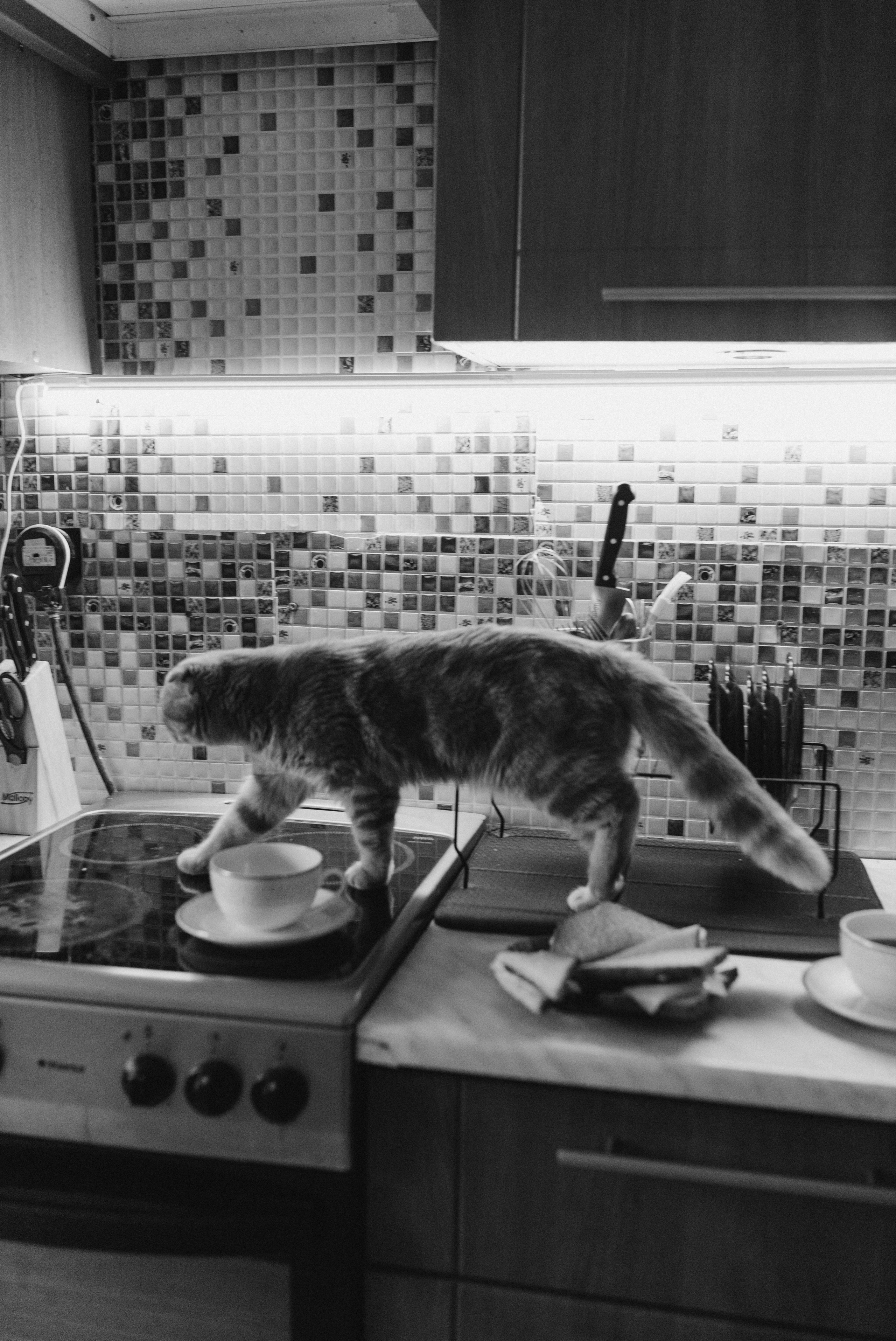 Захар и Лариса (домашняя история). Семейный, свадебный фотограф в Чите Екатерина Мельникова