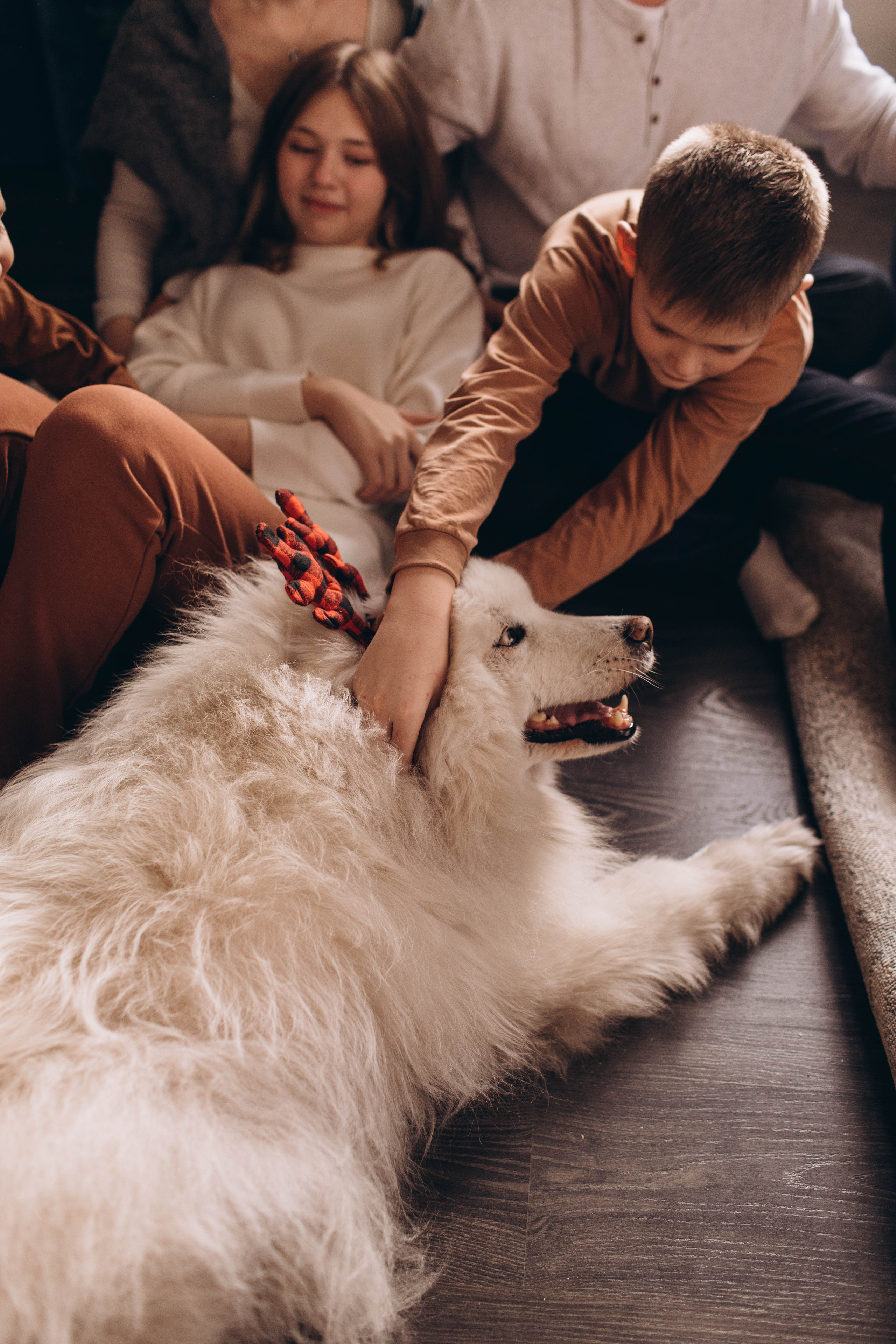 Home II. Семейный, свадебный фотограф в Чите Екатерина Мельникова