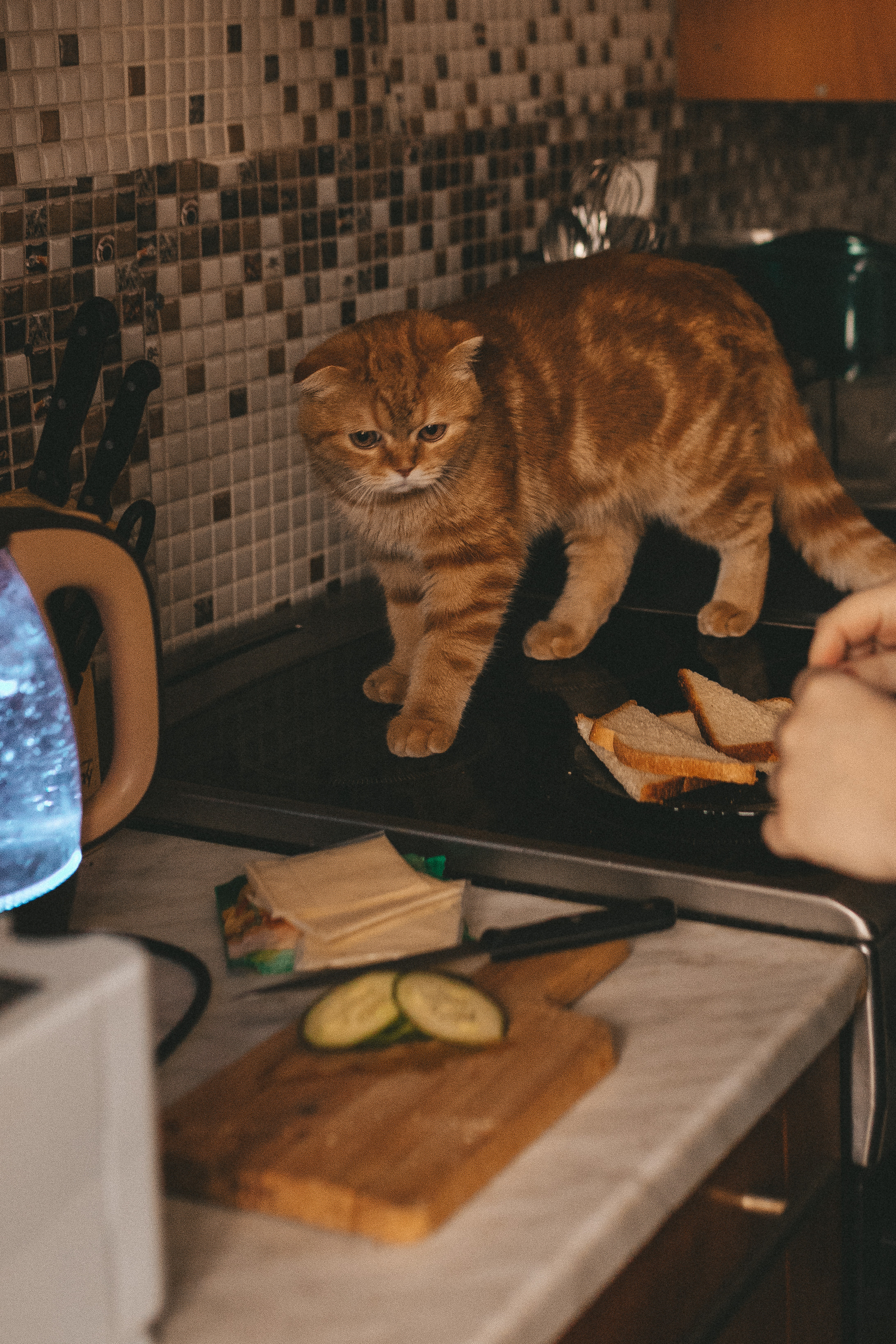 Захар и Лариса (домашняя история). Семейный, свадебный фотограф в Чите Екатерина Мельникова
