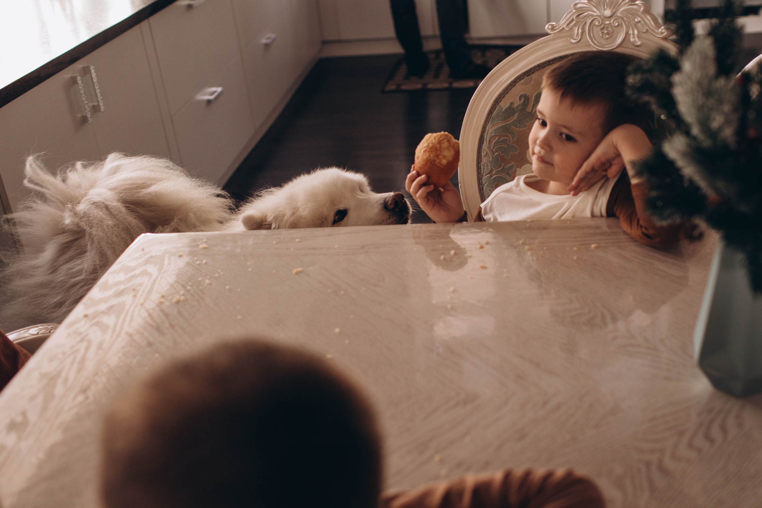 Home II. Семейный, свадебный фотограф в Чите Екатерина Мельникова