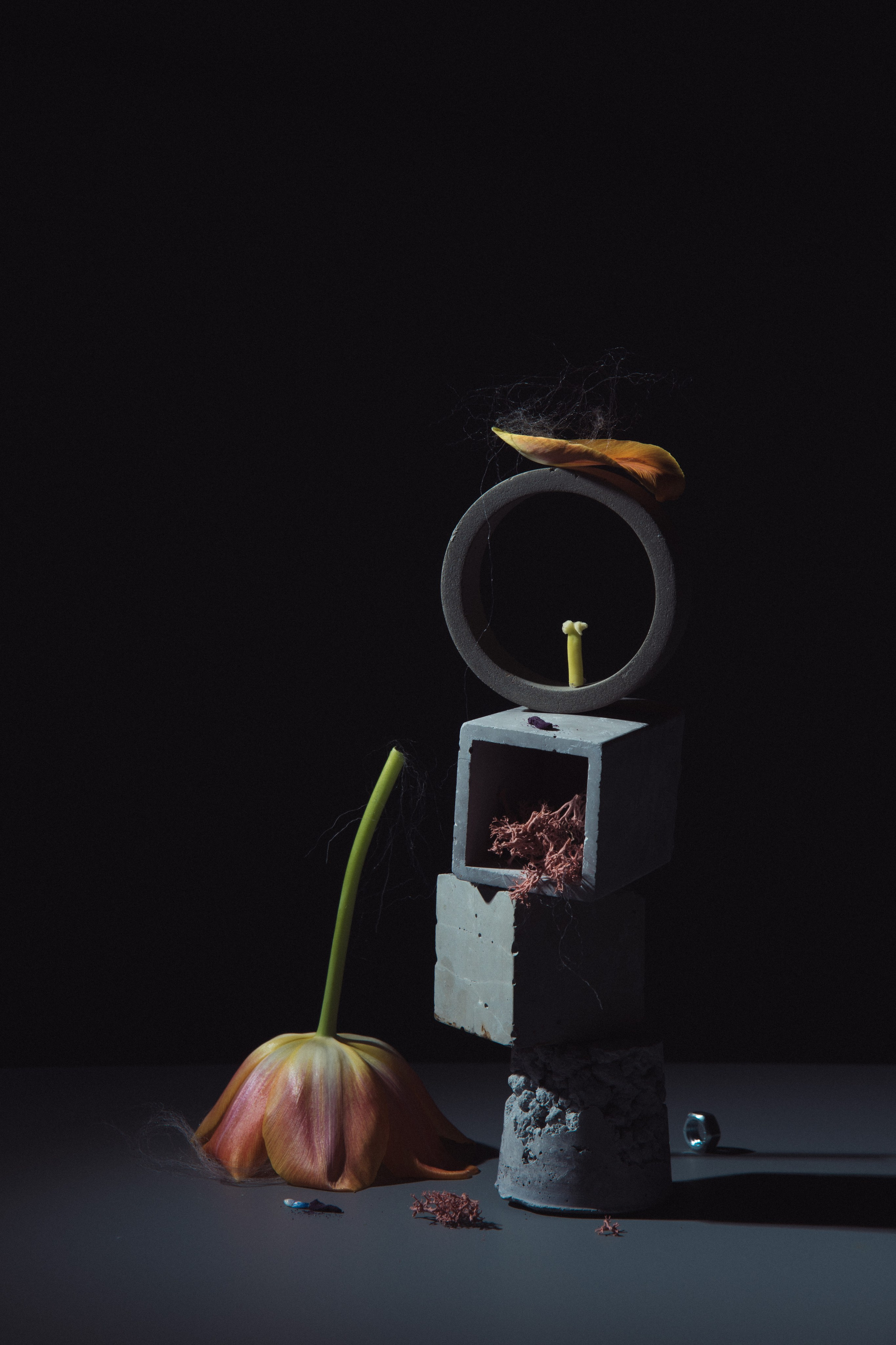 Личные проекты. Предметная фотография