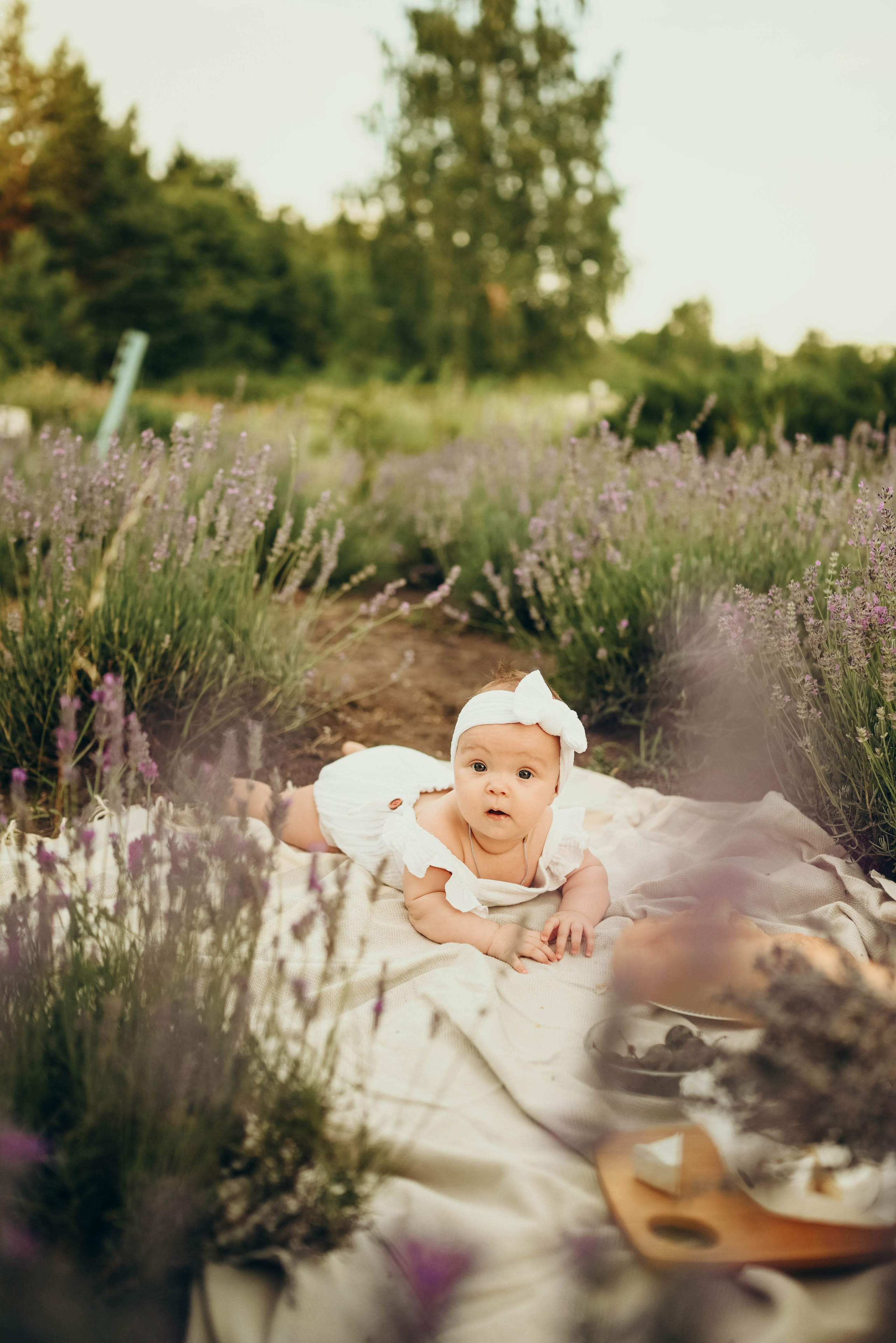 Лавандовая история в бот.саду Воронежа. Семейный фотограф в Москве Люберцах Ирина Вронская