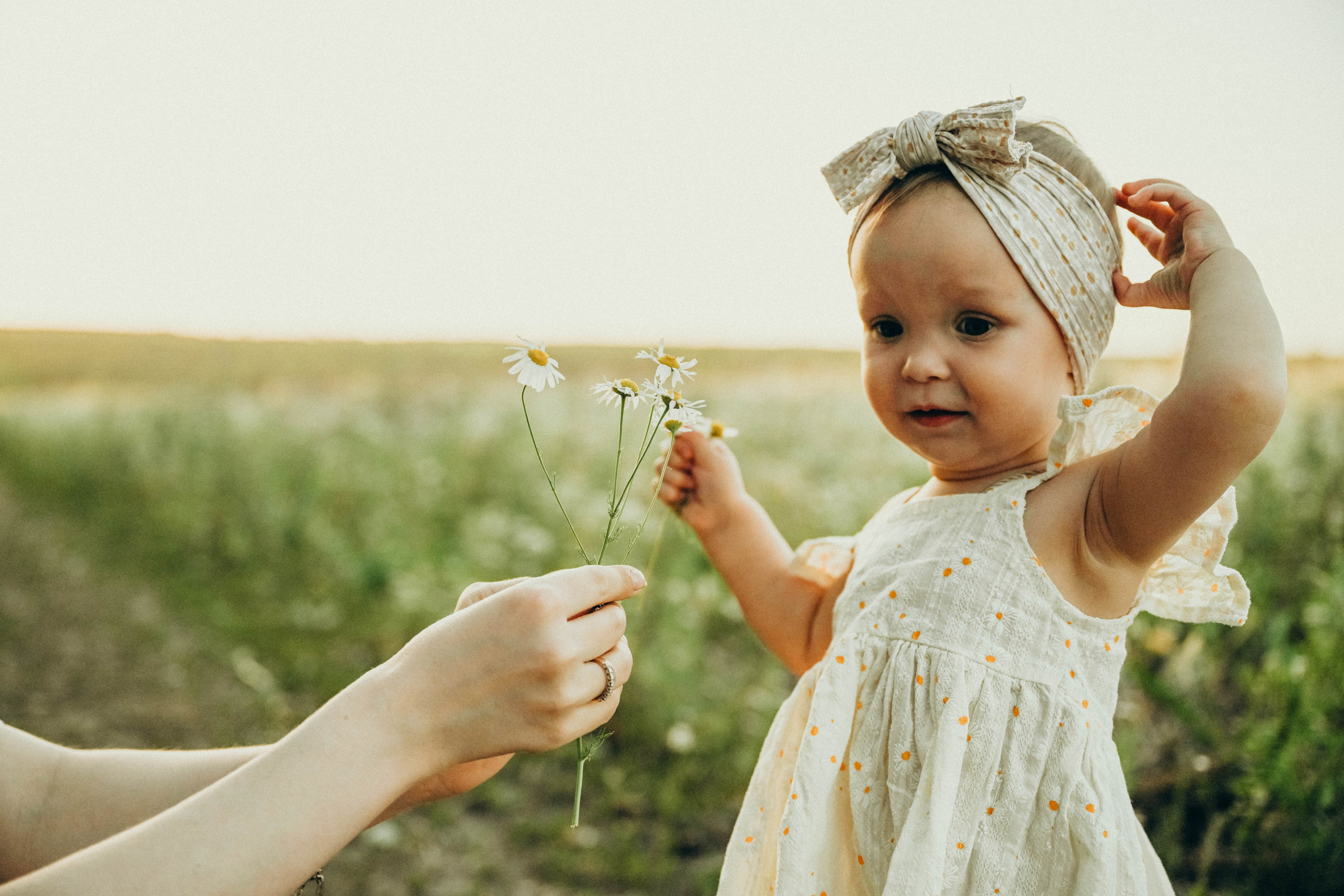 Ромашковое поле. Семейный фотограф в Москве Люберцах Ирина Вронская
